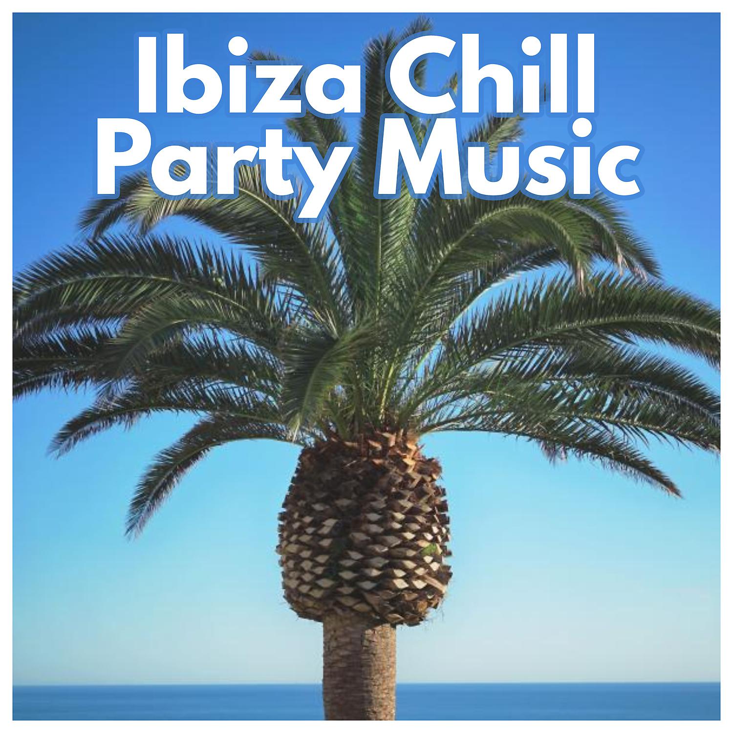 Постер альбома Ibiza Chill Party Music – Drinks & Cocktails, Holiday Party, Summer Time, Chill Out Music