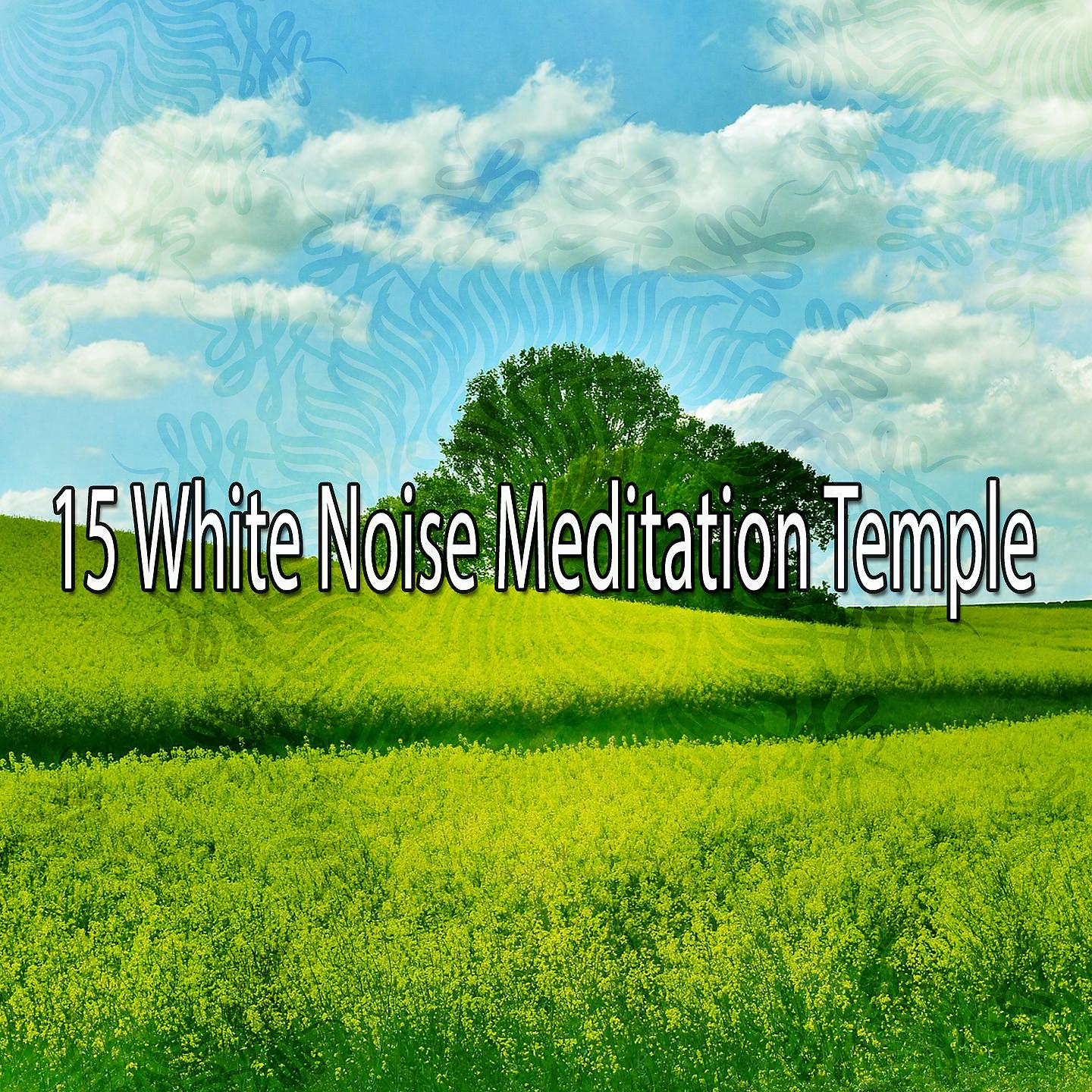 Постер альбома 15 Храм Медитации Белый Шум