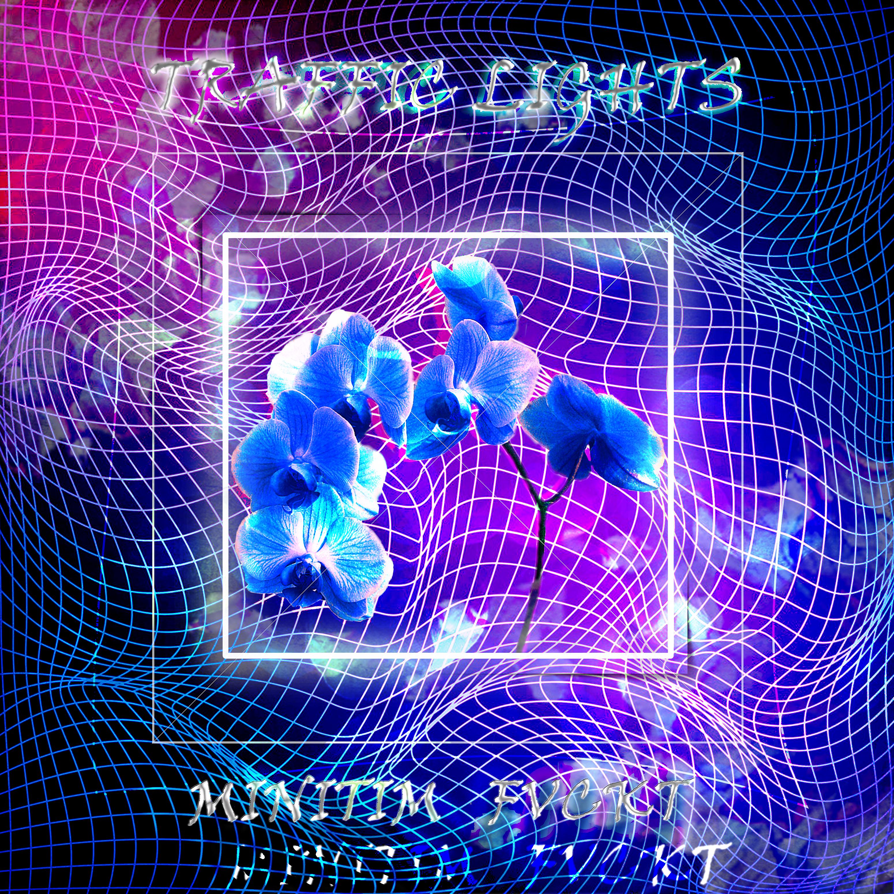 Постер альбома TRAFFIC LIGHTS