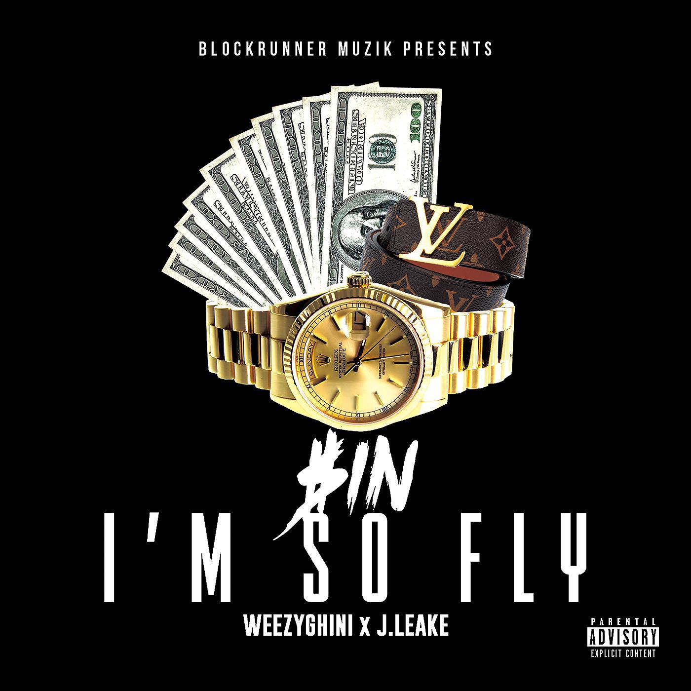 Постер альбома Im so Fly (feat. WeezyGhini & J Leake)