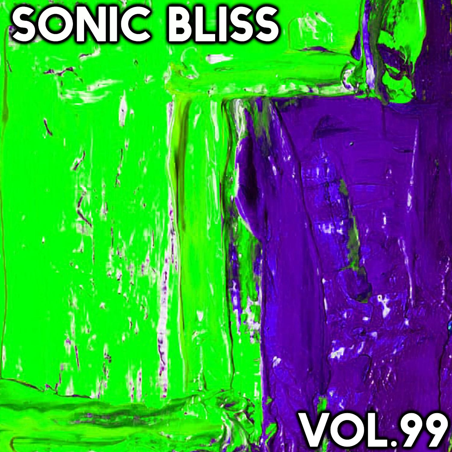 Постер альбома Sonic Bliss, Vol. 99