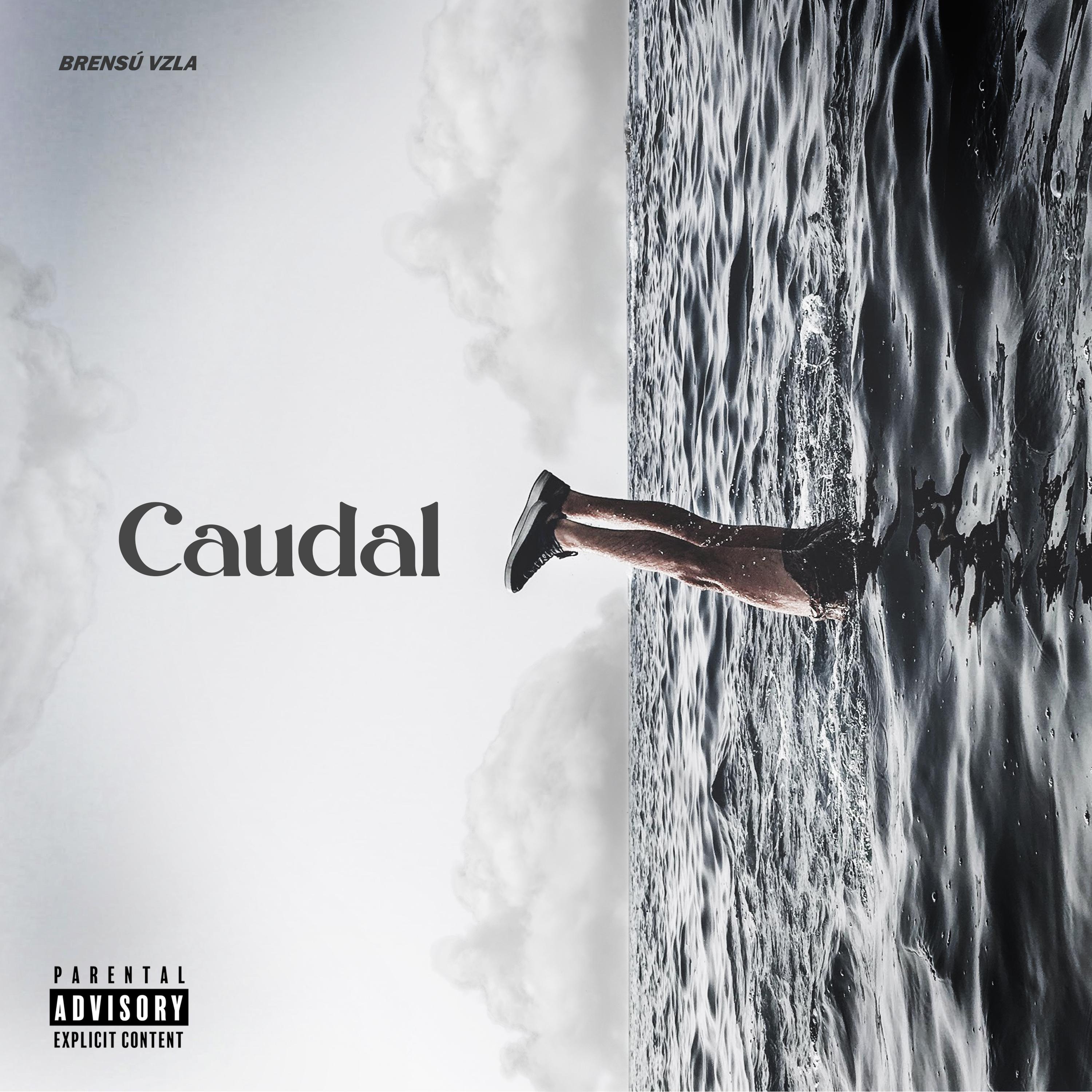 Постер альбома Caudal