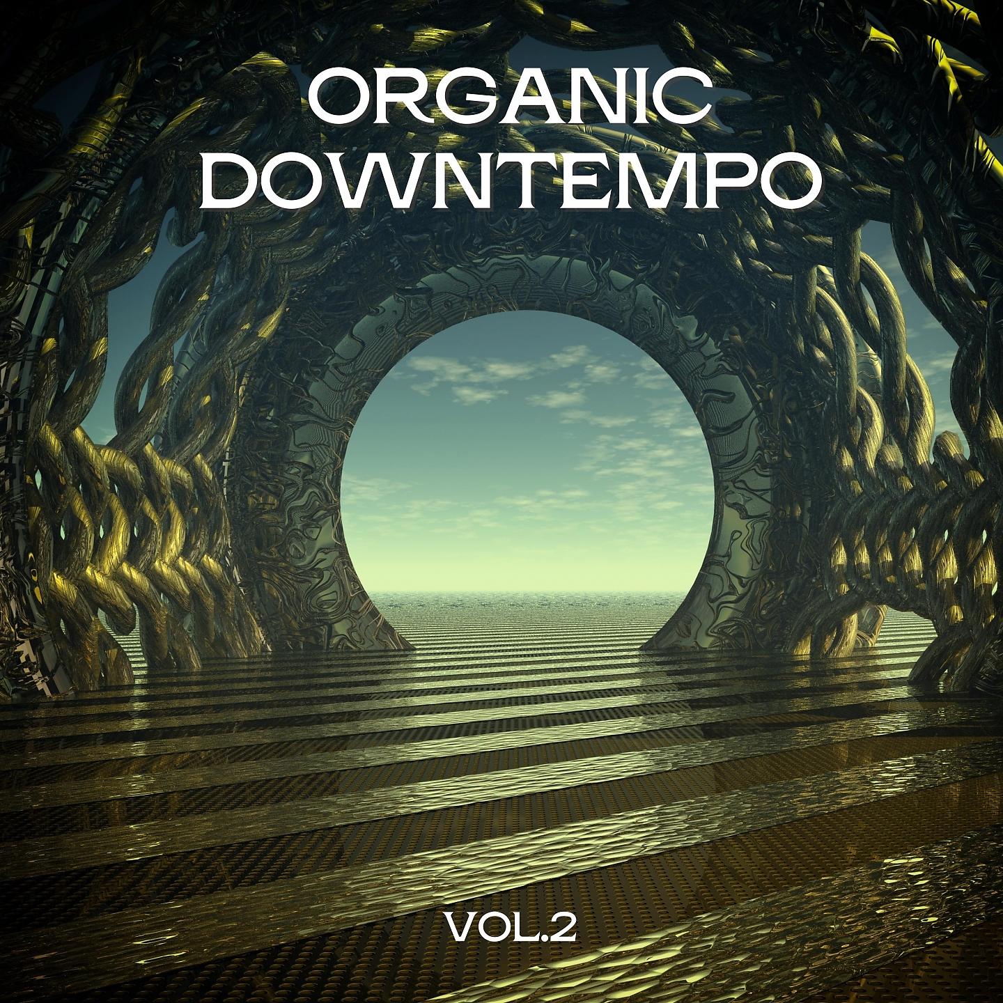 Постер альбома Organic Downtempo, Vol. 2