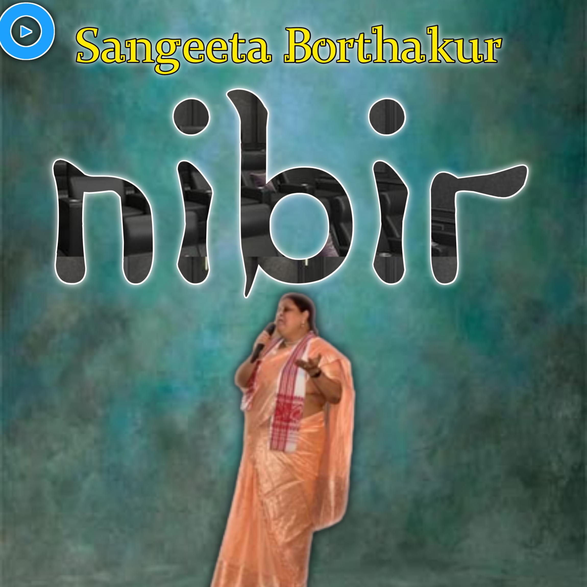 Постер альбома Nibir