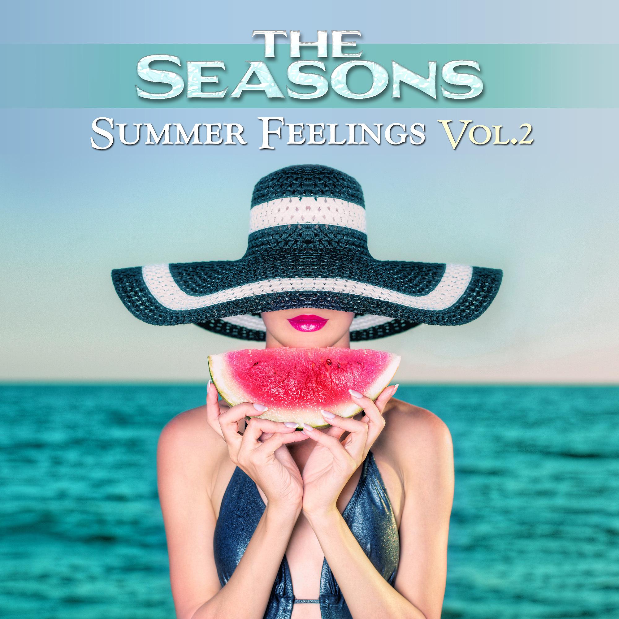 Постер альбома Summer Feelings, Vol. 2
