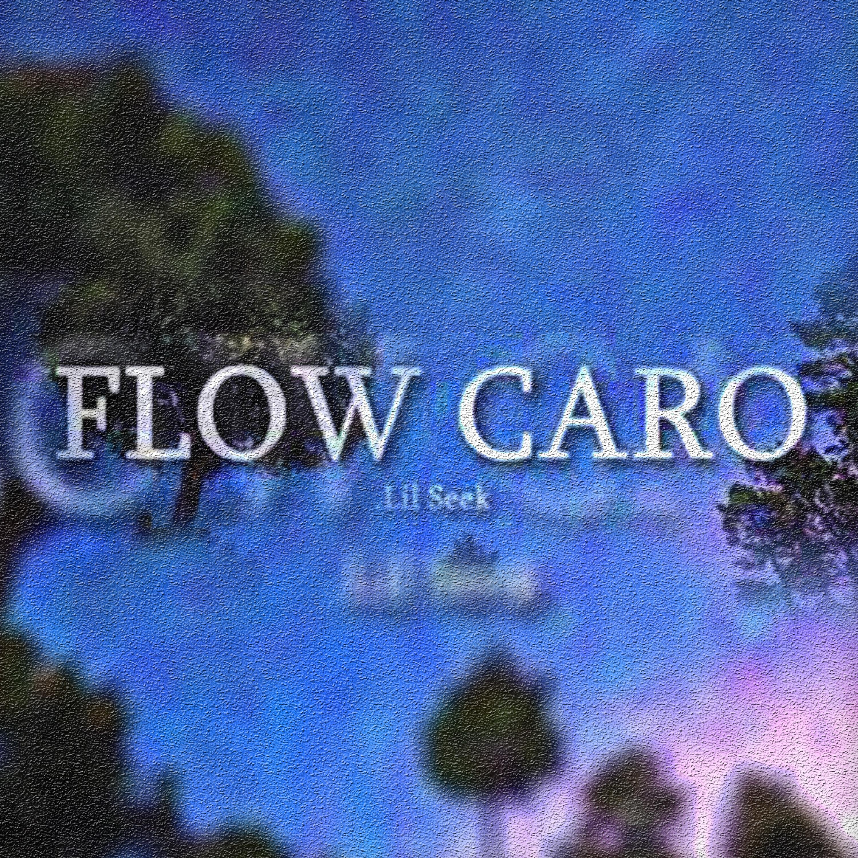 Постер альбома Flow Caro