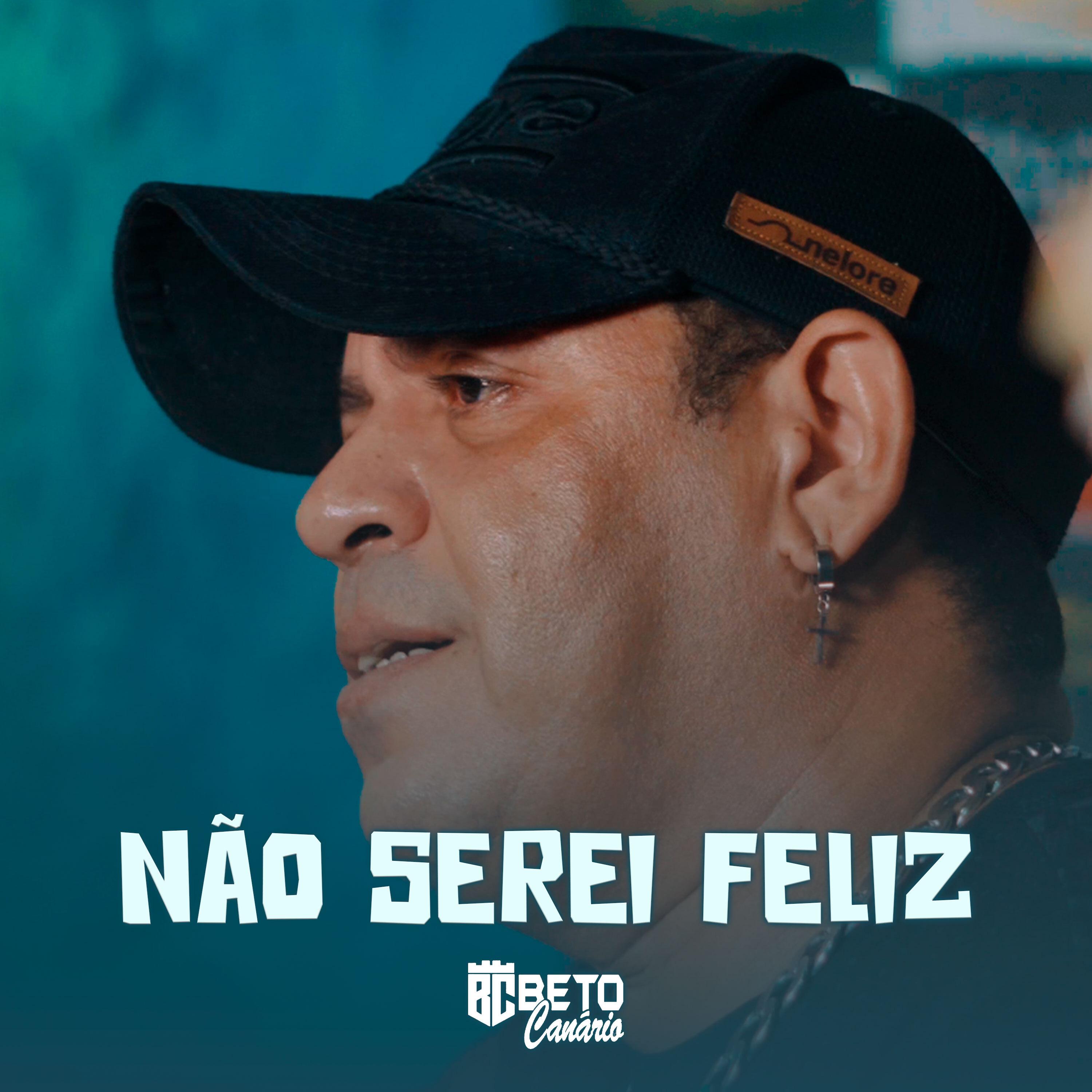 Постер альбома Não Serei Feliz