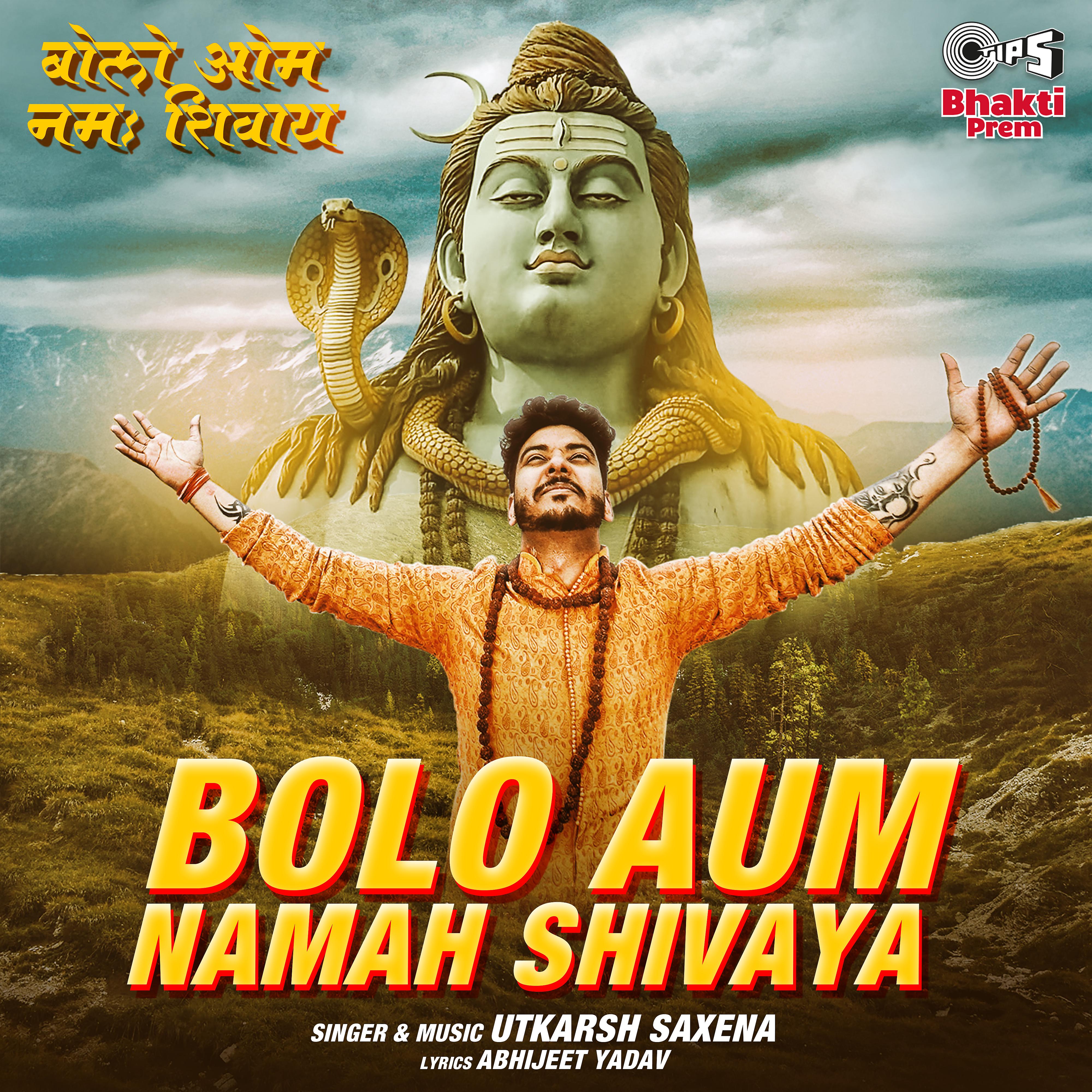 Постер альбома Bolo Aum Namah Shivaya