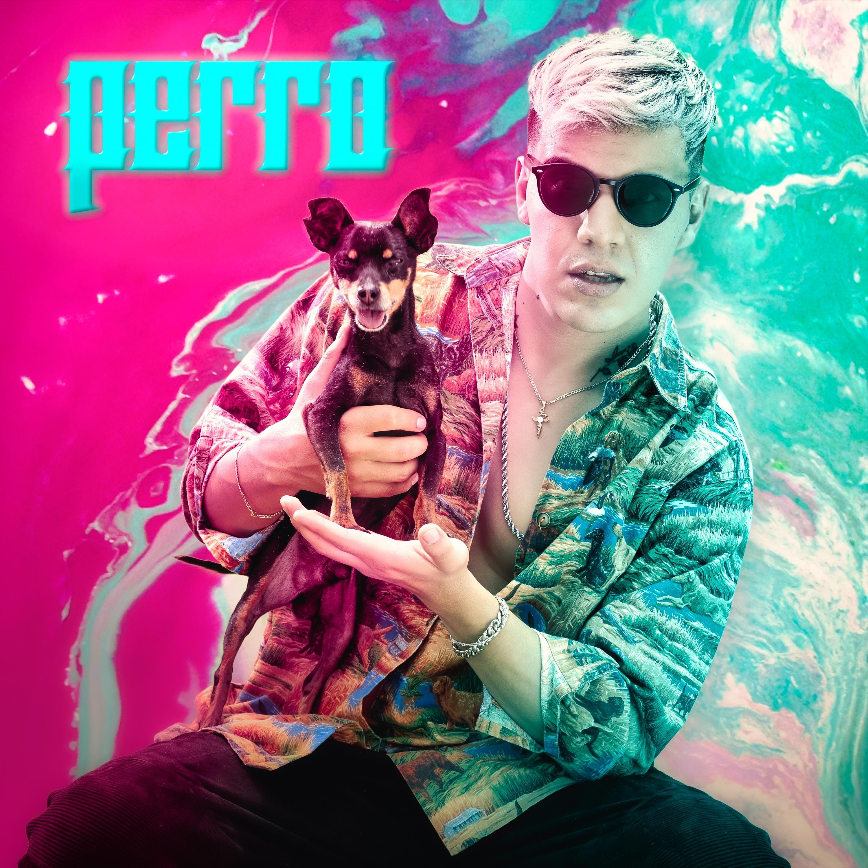 Постер альбома Perro