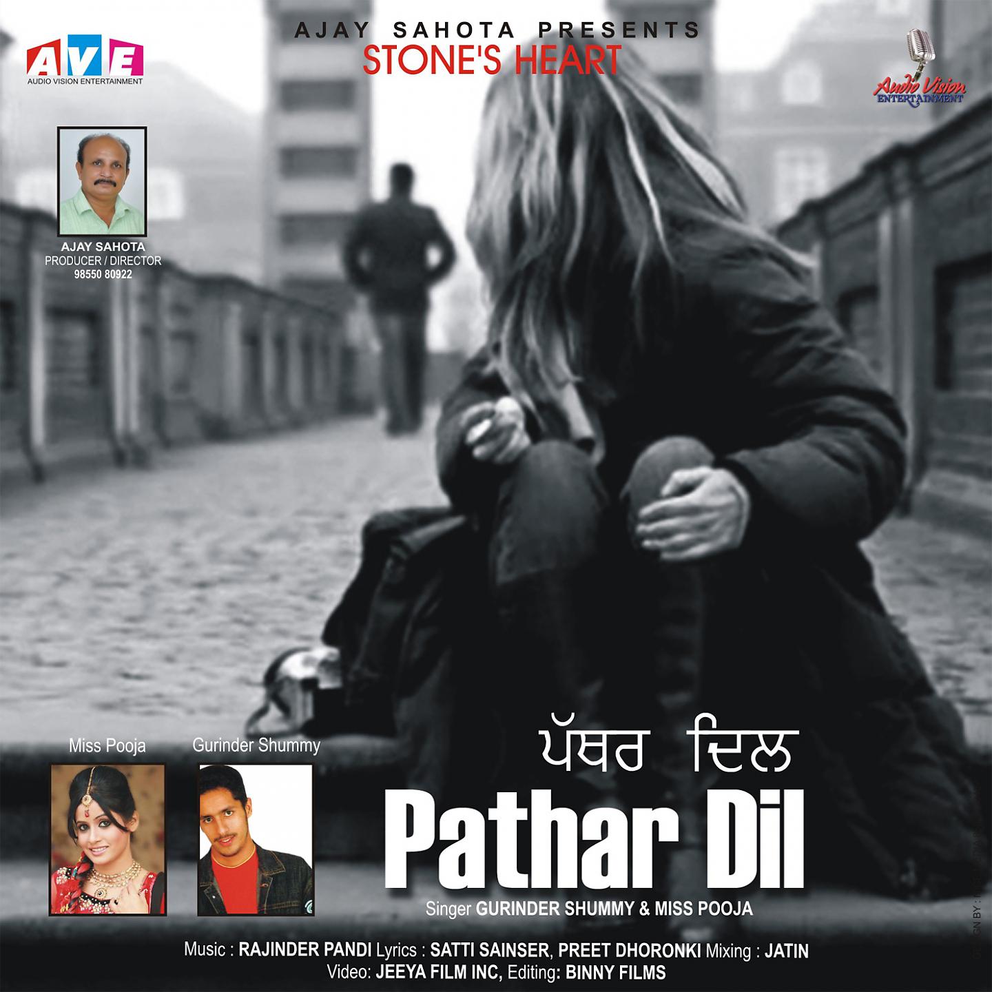 Постер альбома Pathar Dil