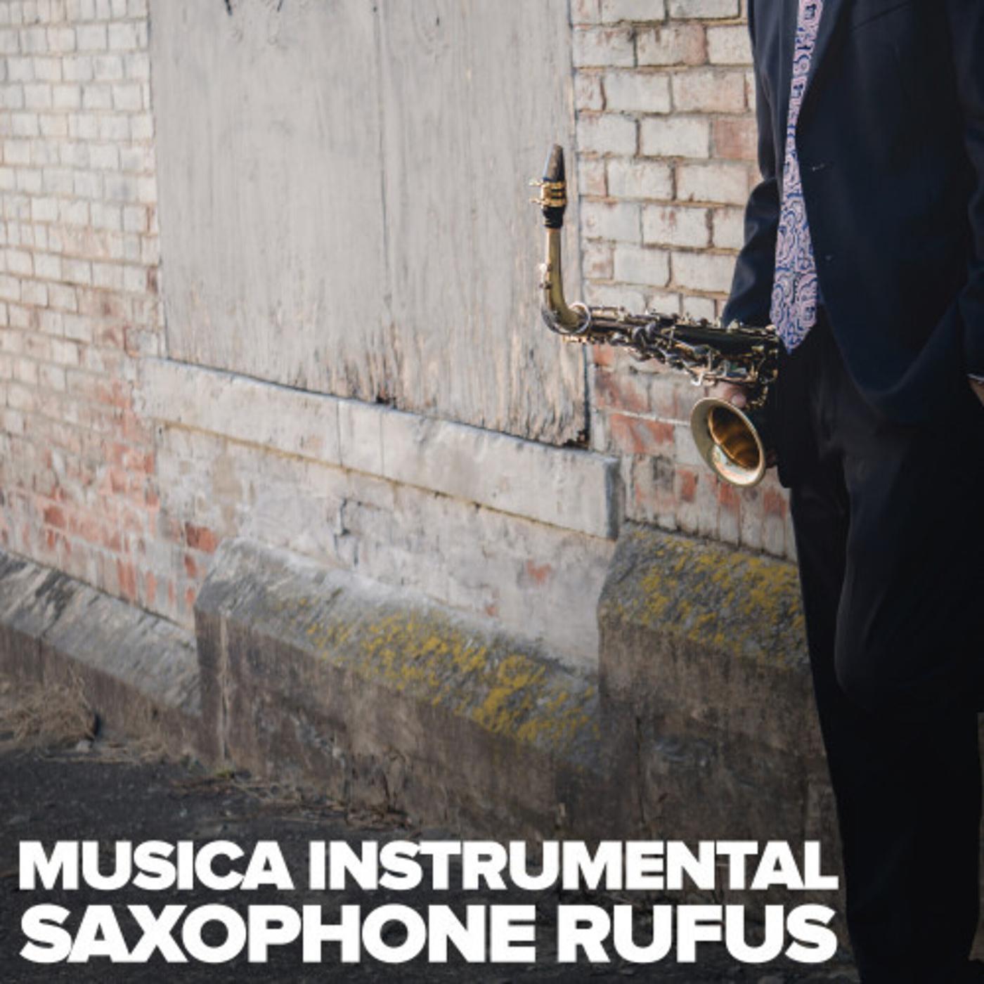 Постер альбома Musica Instrumental