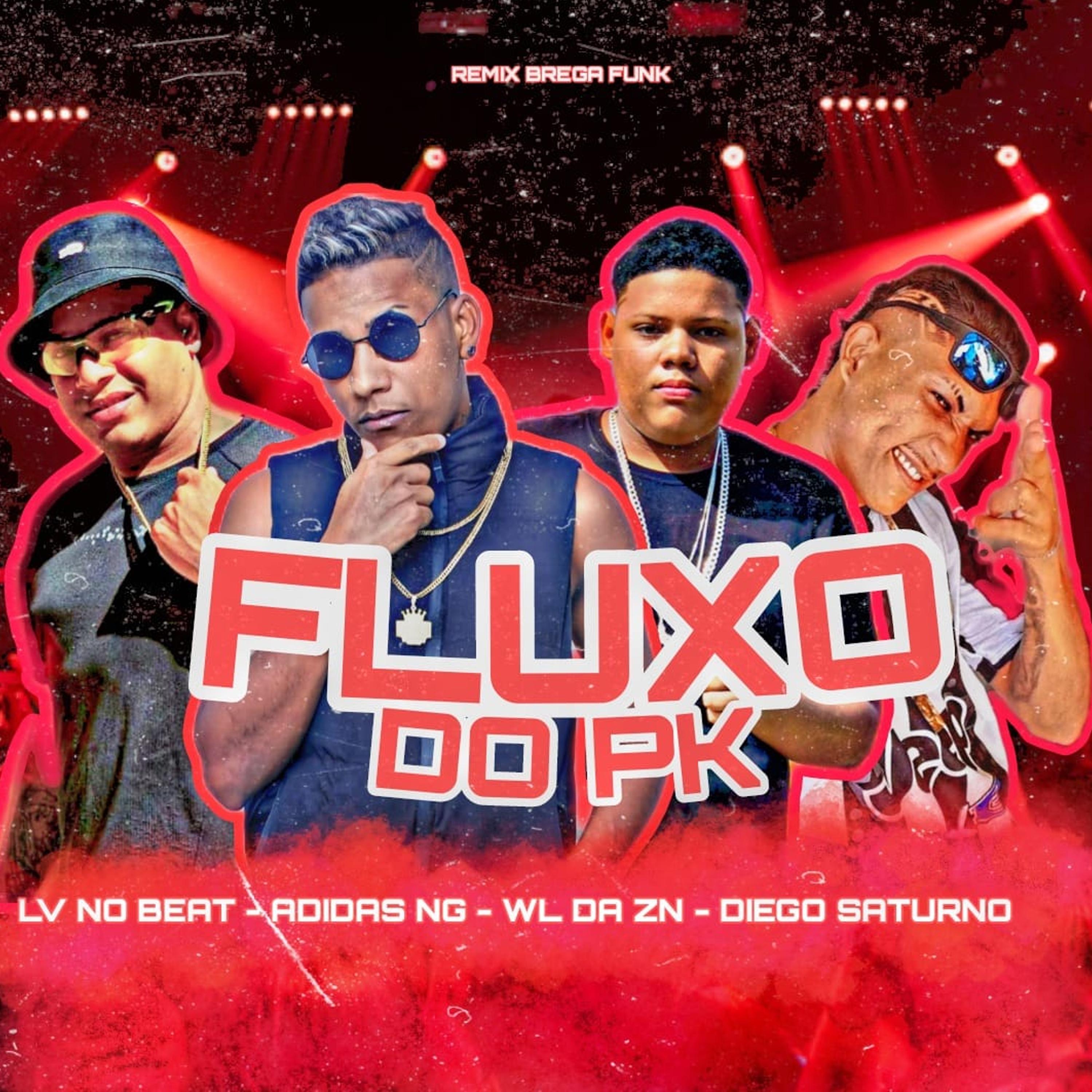 Постер альбома Fluxo do Pk