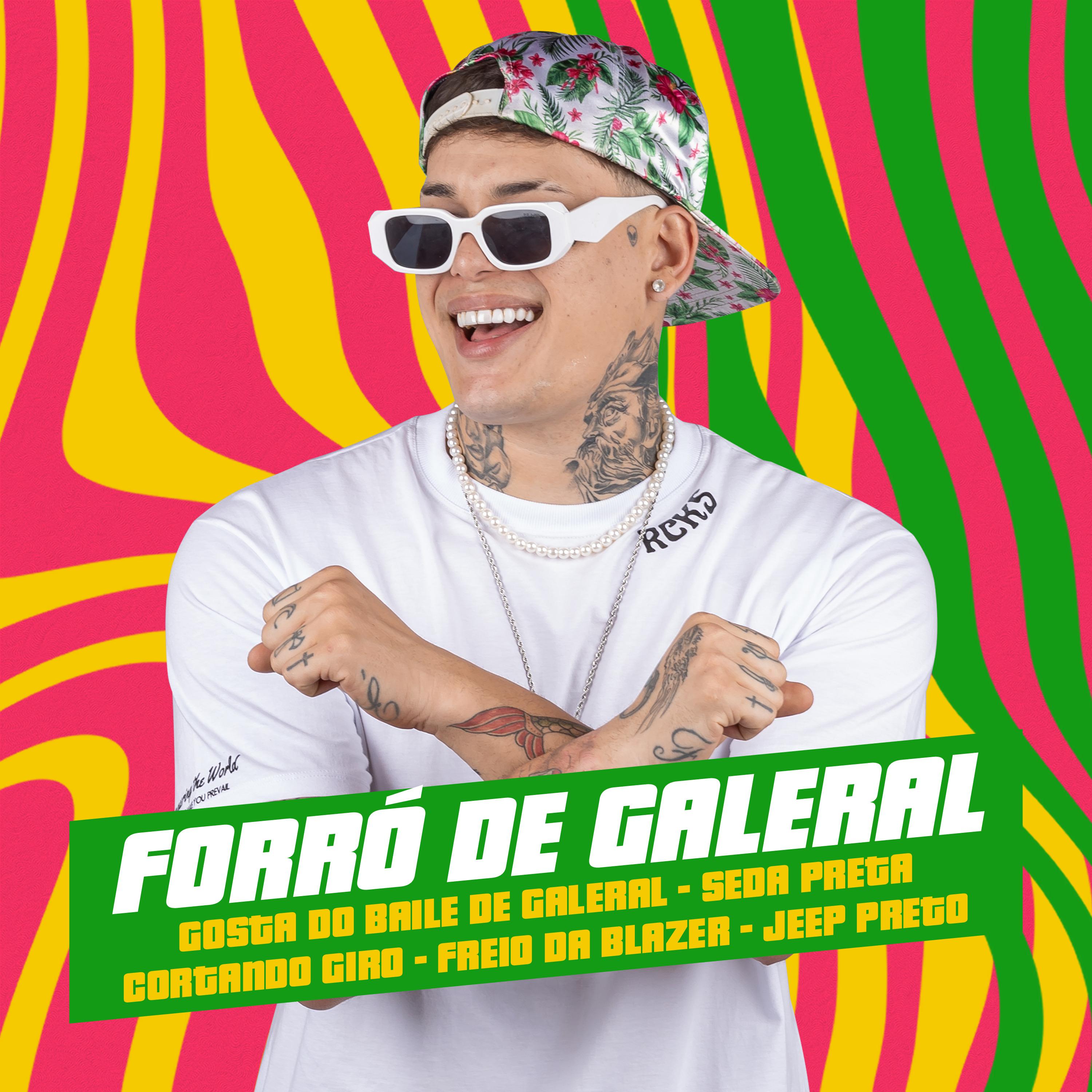 Постер альбома Forró de Galeral Gosta do Baile de Galeral / Seda Preta / Na Pista Cortando Giro / Freio da Blazer / Jeep Preto