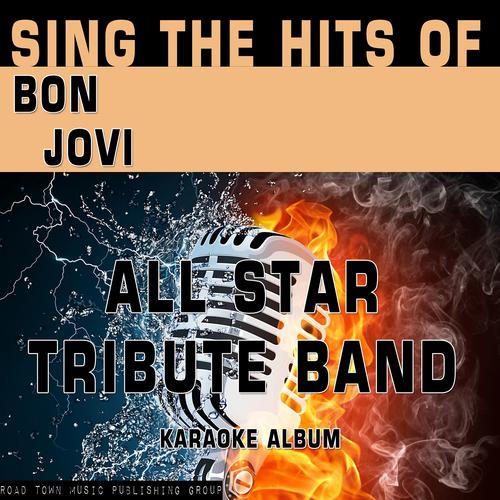 Постер альбома Sing the Hits of Bon Jovi