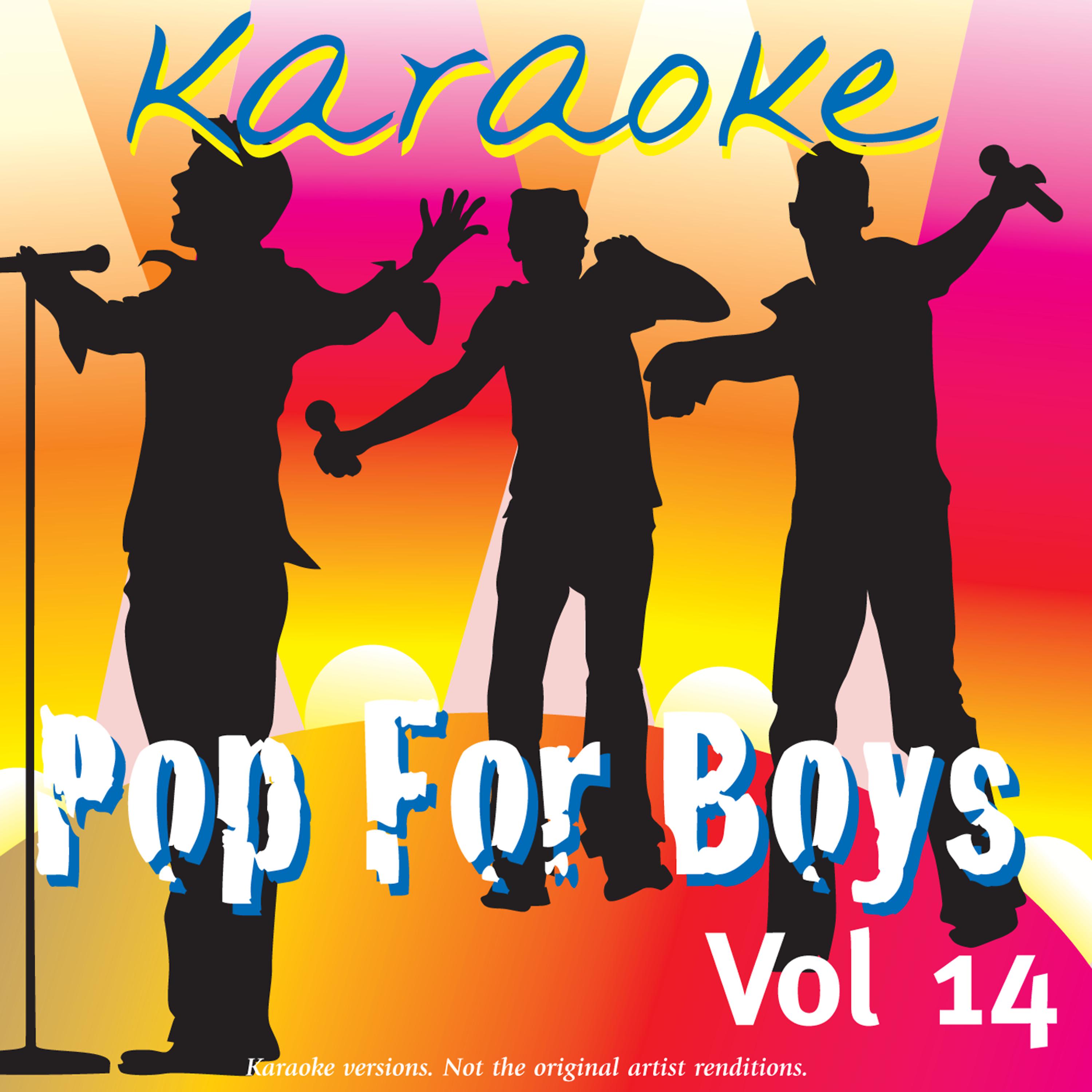 Постер альбома Karaoke - Pop For Boys Vol.14