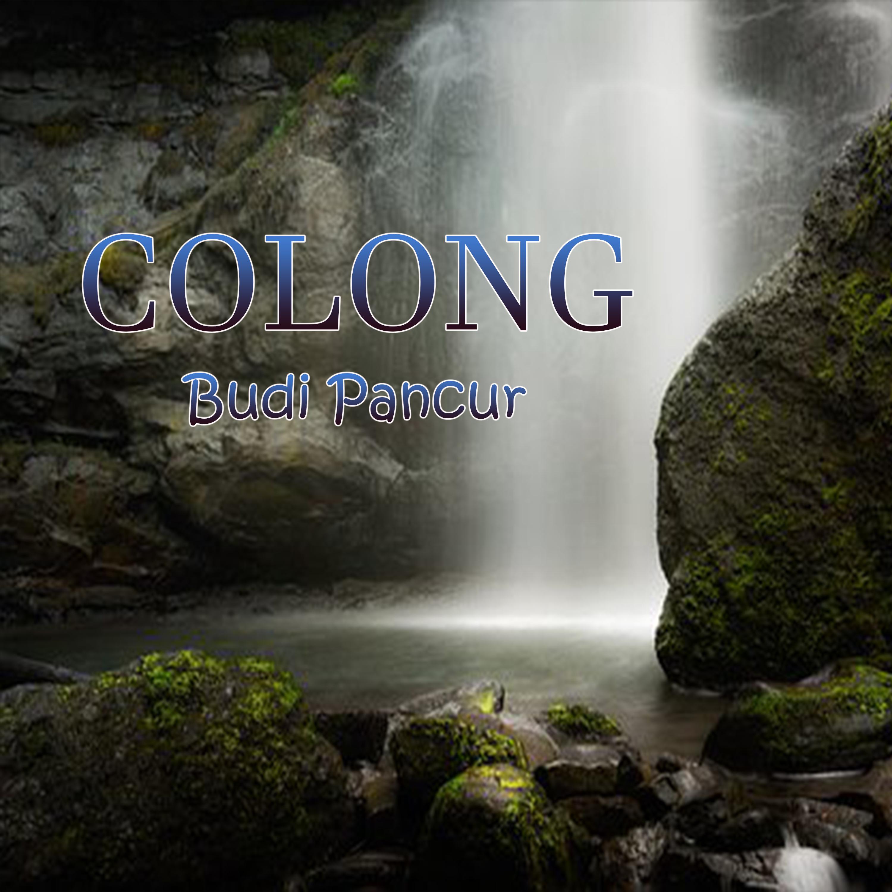 Постер альбома Colong