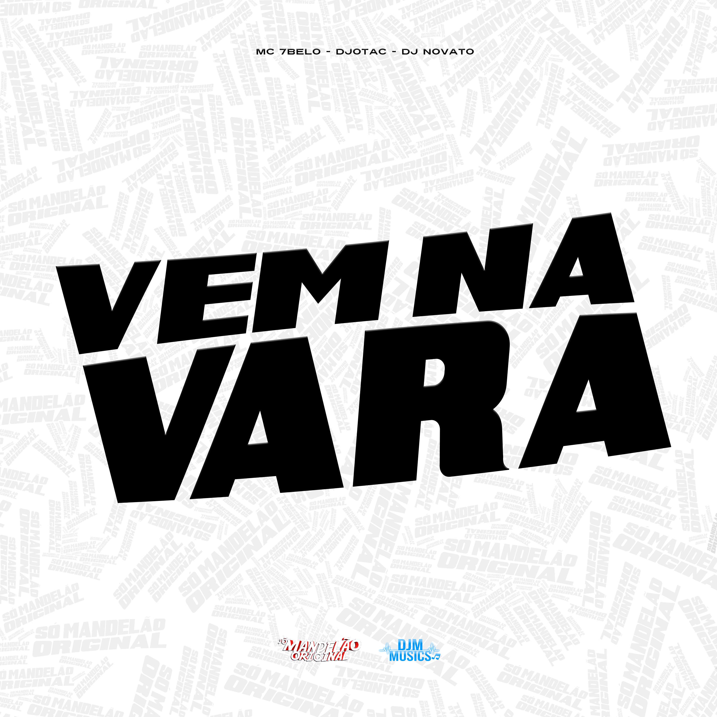 Постер альбома Vem na Vara