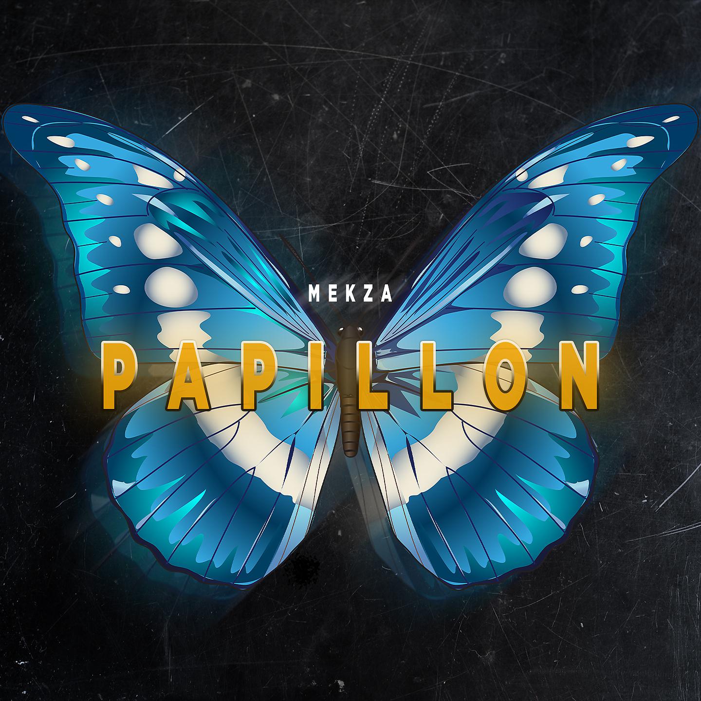 Постер альбома PAPILLON
