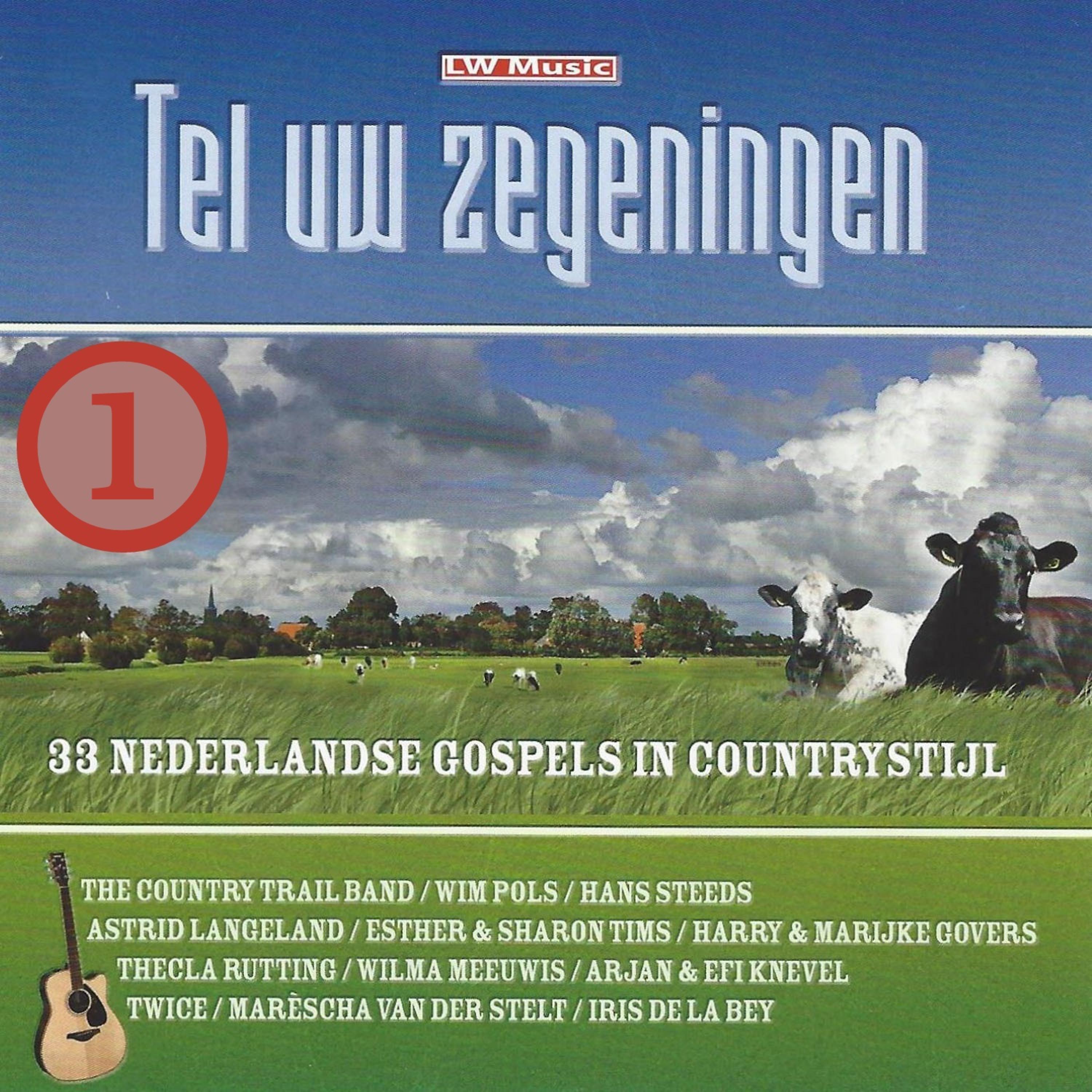 Постер альбома Tel uw Zegeningen, Vol. 1
