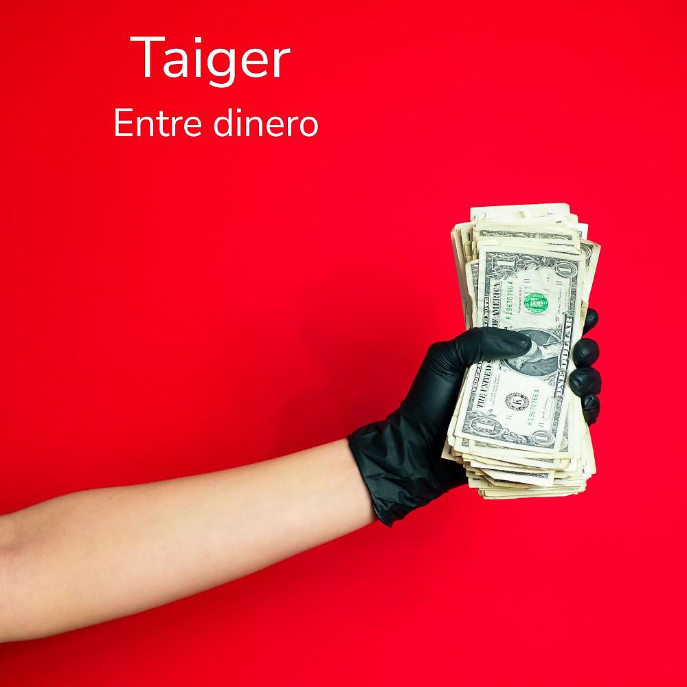 Постер альбома Entre Dinero