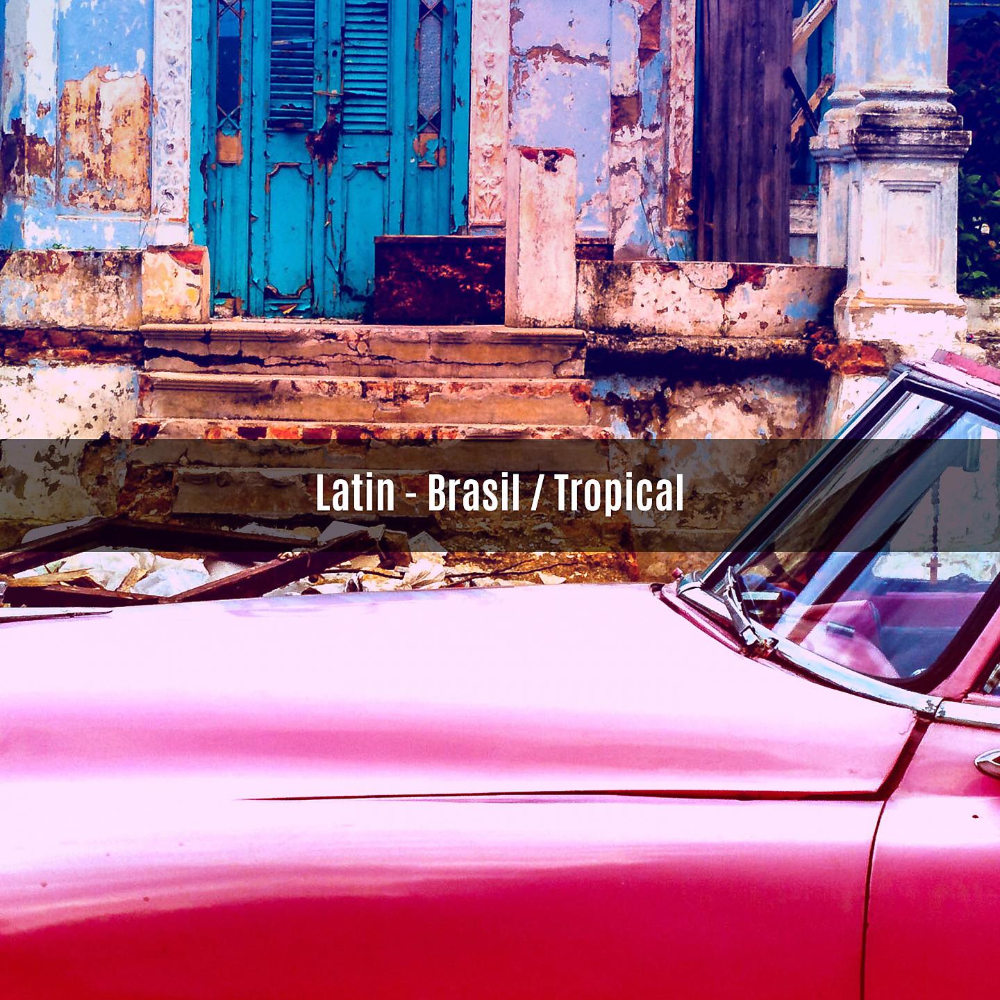 Постер альбома LATIN - BRASIL TROPICAL