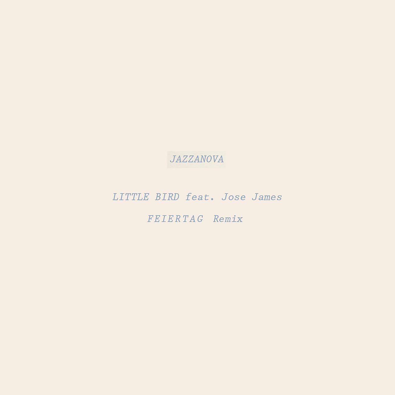Постер альбома Little Bird (Feiertag Remix)