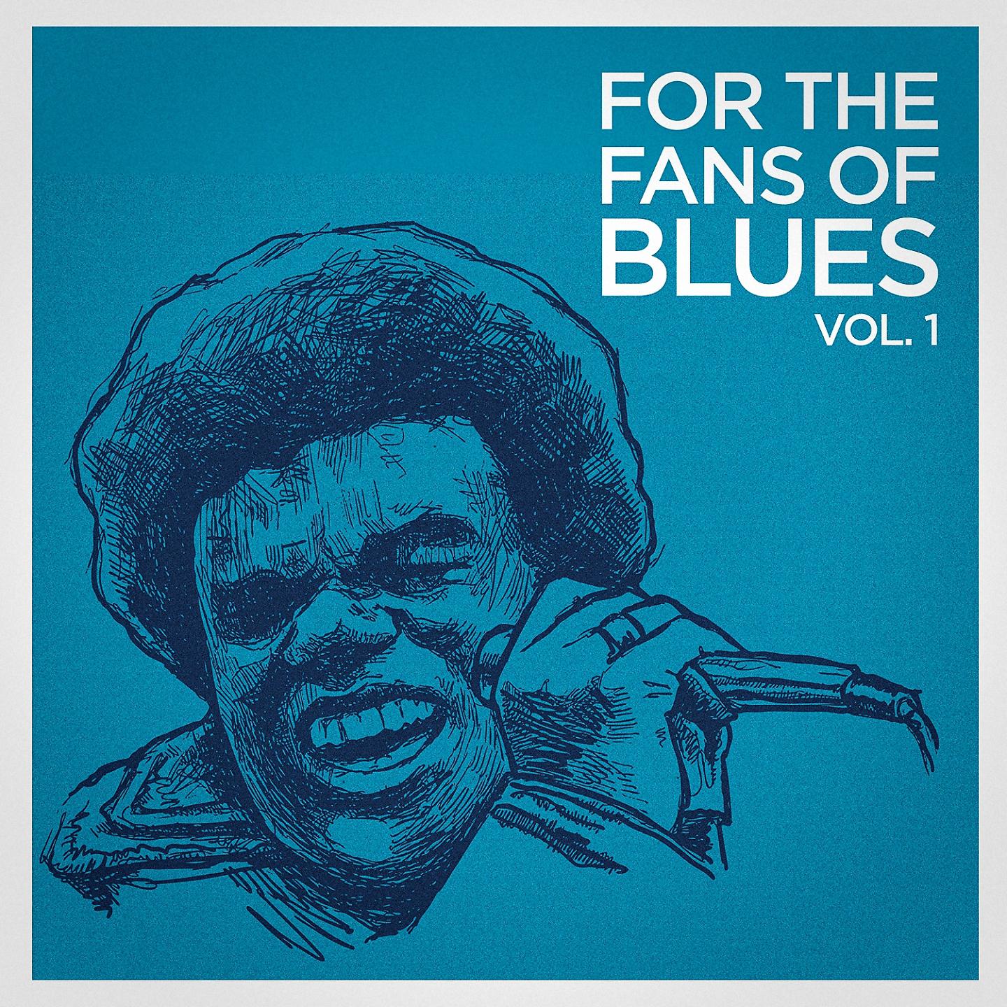 Постер альбома For the Fans of Blues, Vol. 1