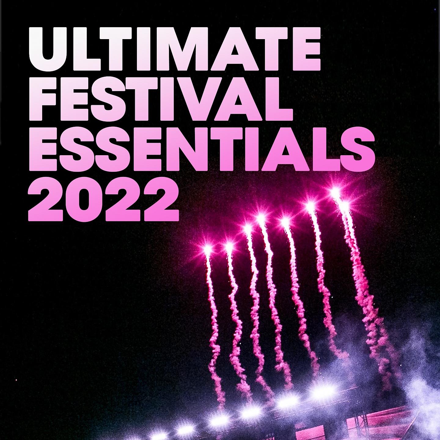 Постер альбома Ultimate Festival Essentials 2022