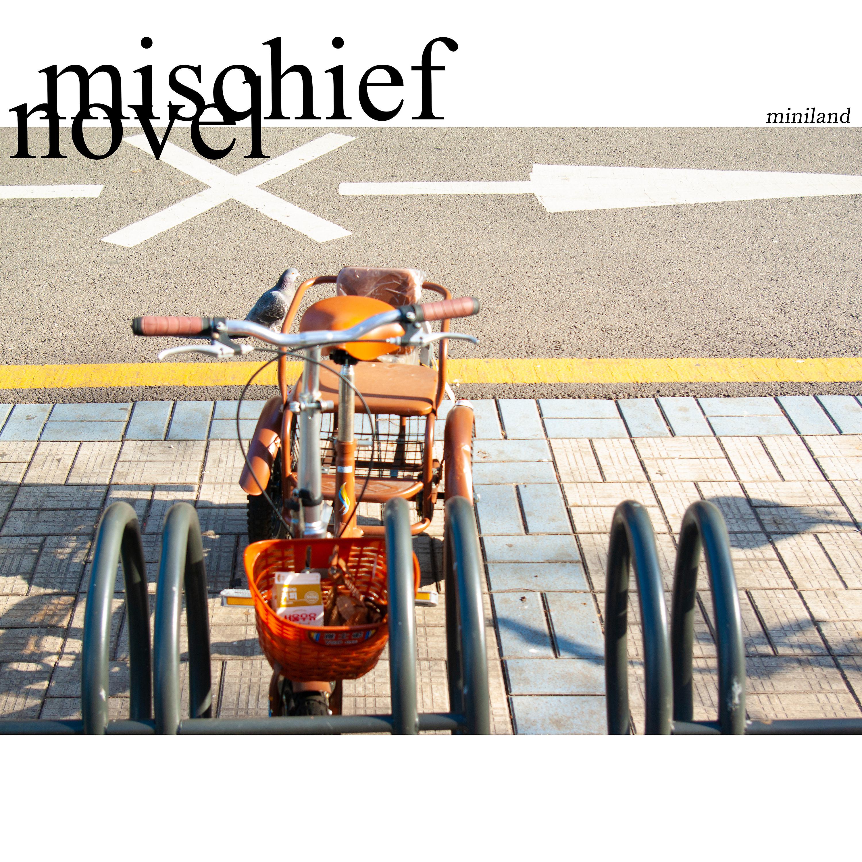 Постер альбома Mischeif Novel