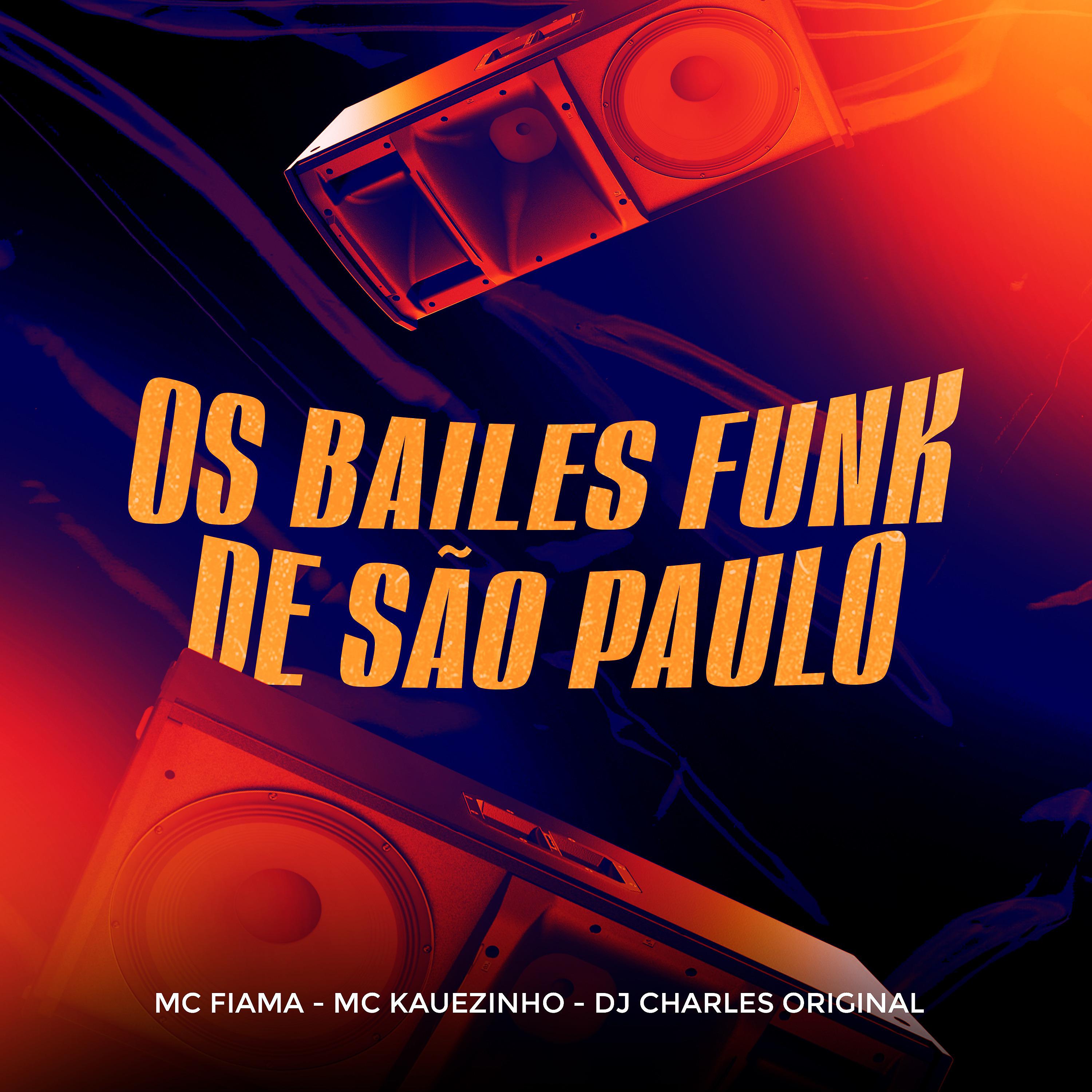 Постер альбома Os Bailes Funk de São Paulo