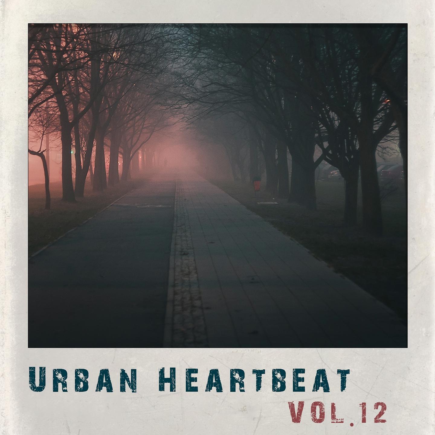 Постер альбома Urban Heartbeat,Vol.12