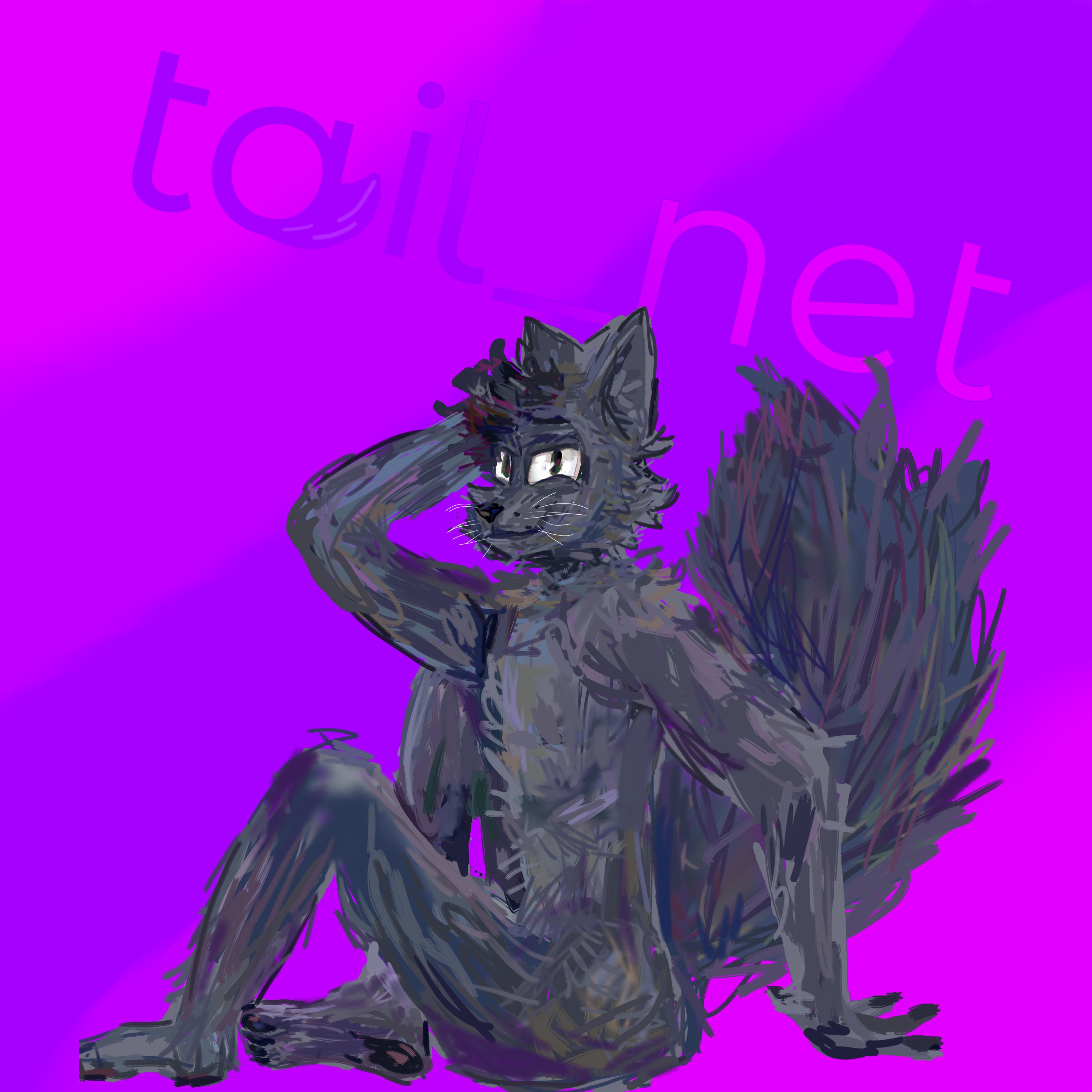 Постер альбома Tail_net
