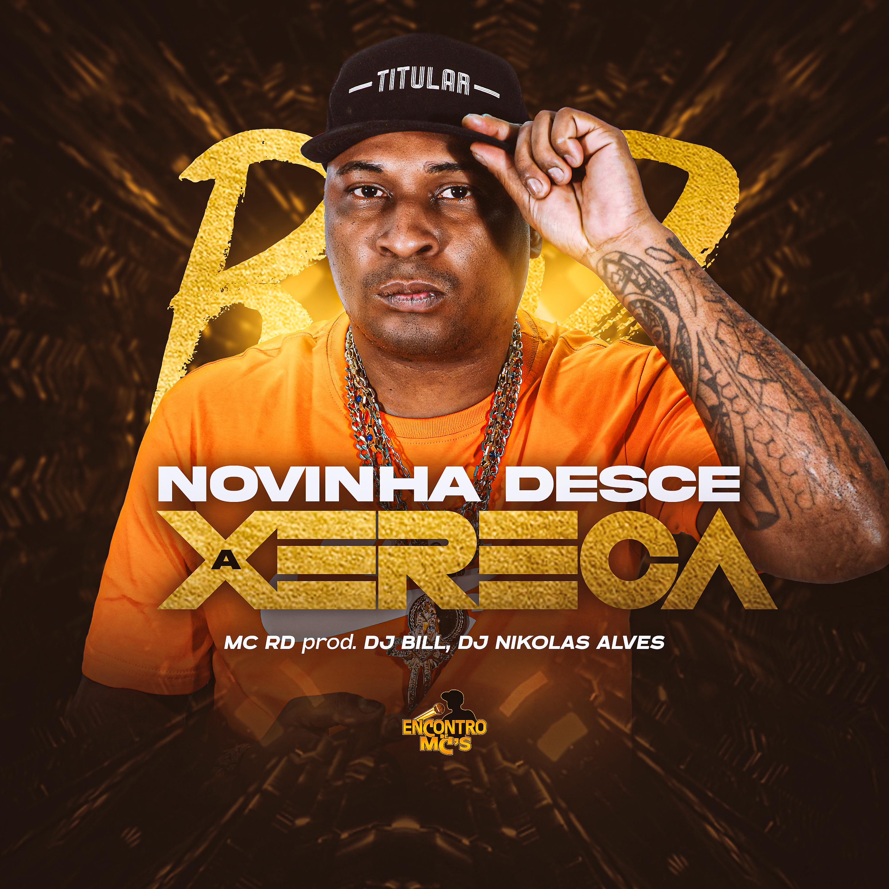 Постер альбома Novinha Desce a Xereca