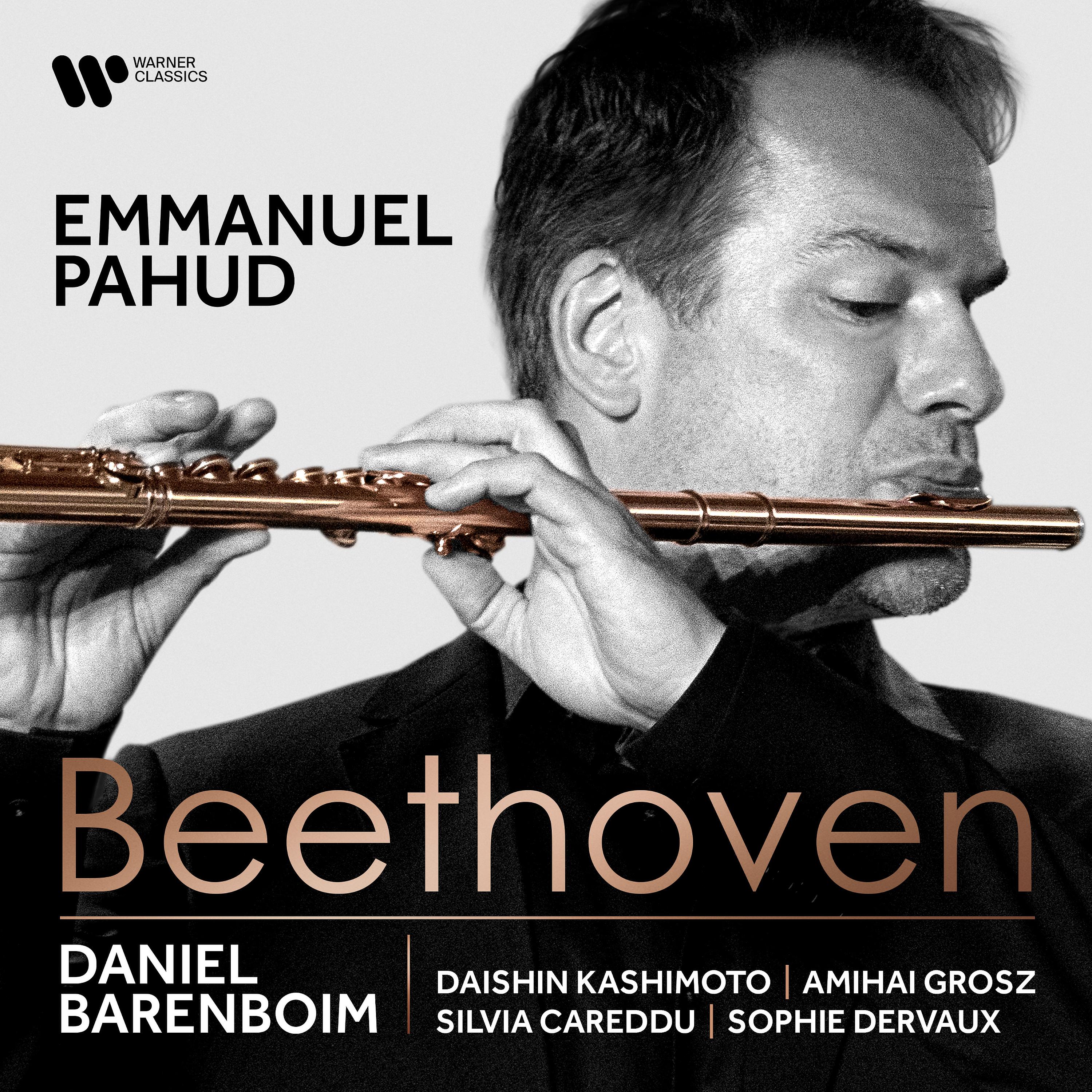 Постер альбома Beethoven: Violin Sonata No. 8 in G Major, Op. 30 No. 3 in G Major: III. Allegro vivace (Arr. Flute and Piano)