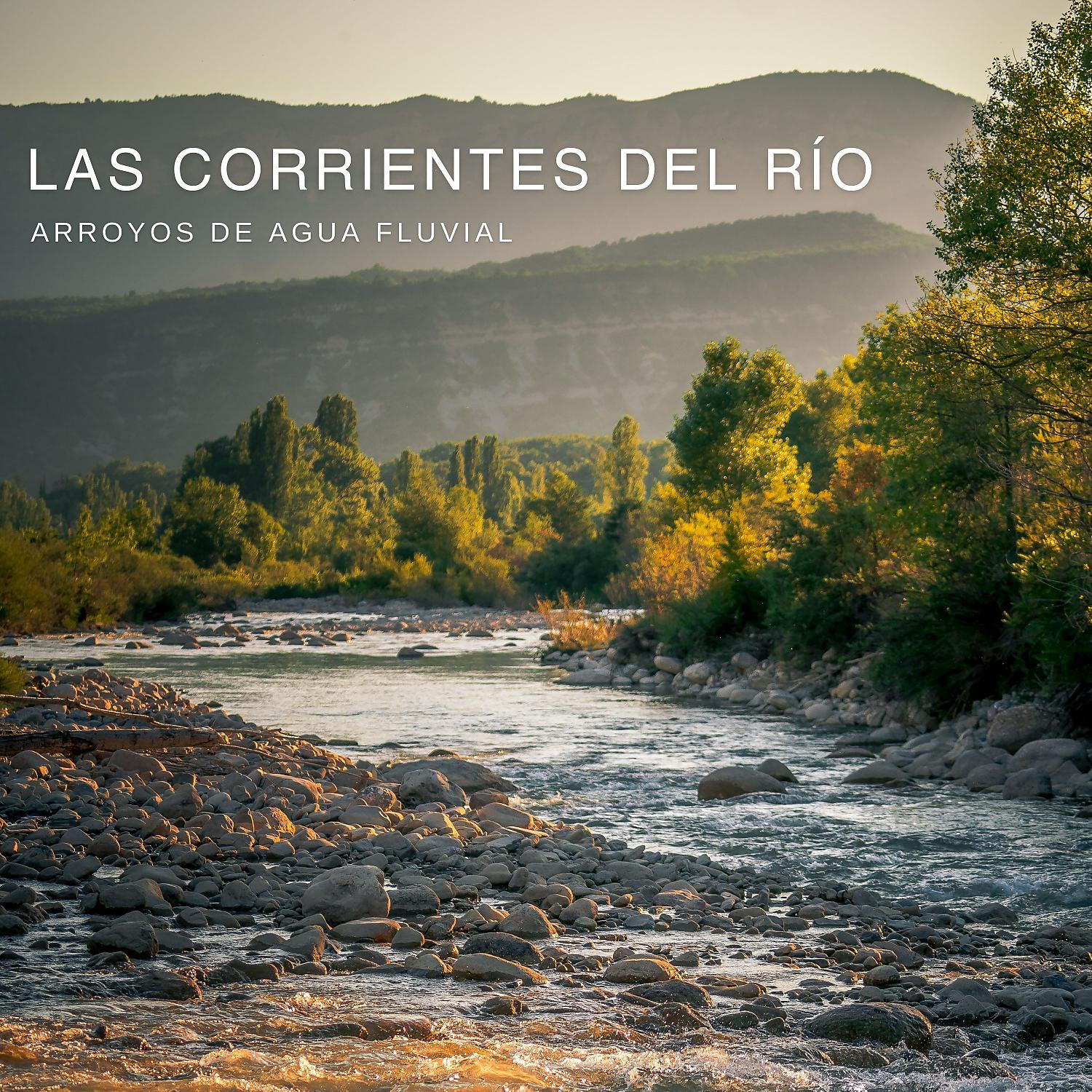 Постер альбома Las Corrientes Del Rio: Arroyos De Agua Fluvial