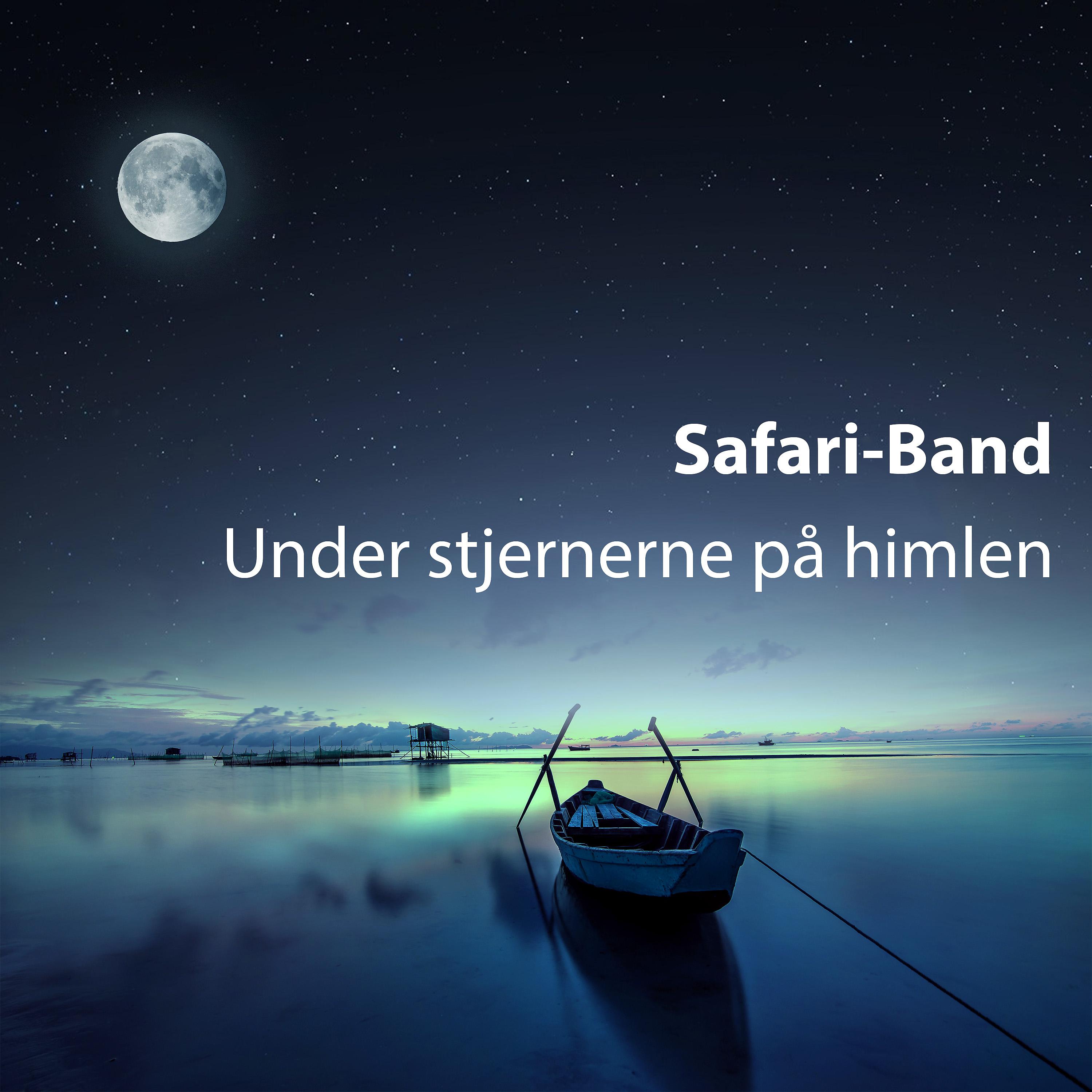 Постер альбома Under stjernerne på himlen