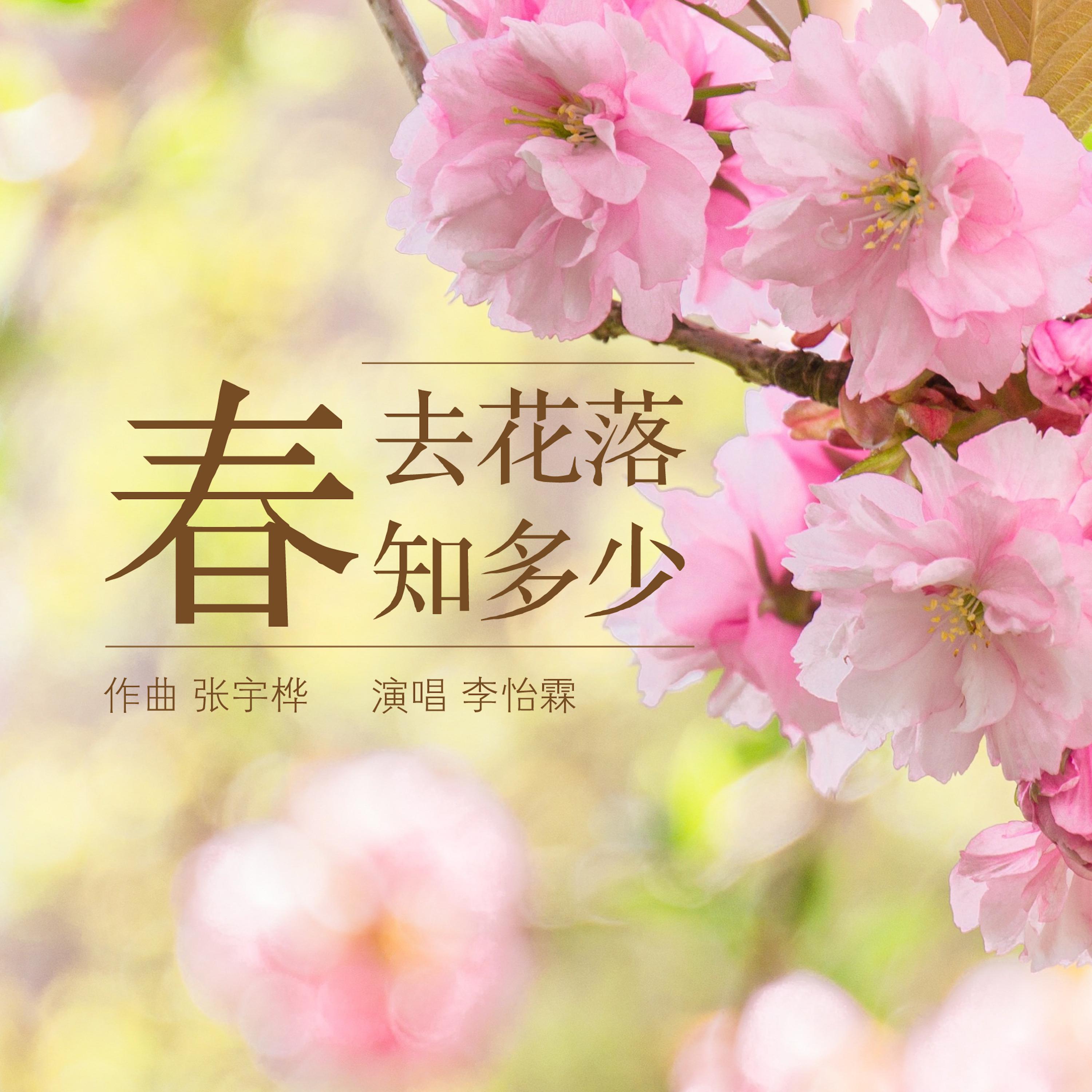 Постер альбома 春去花落知多少
