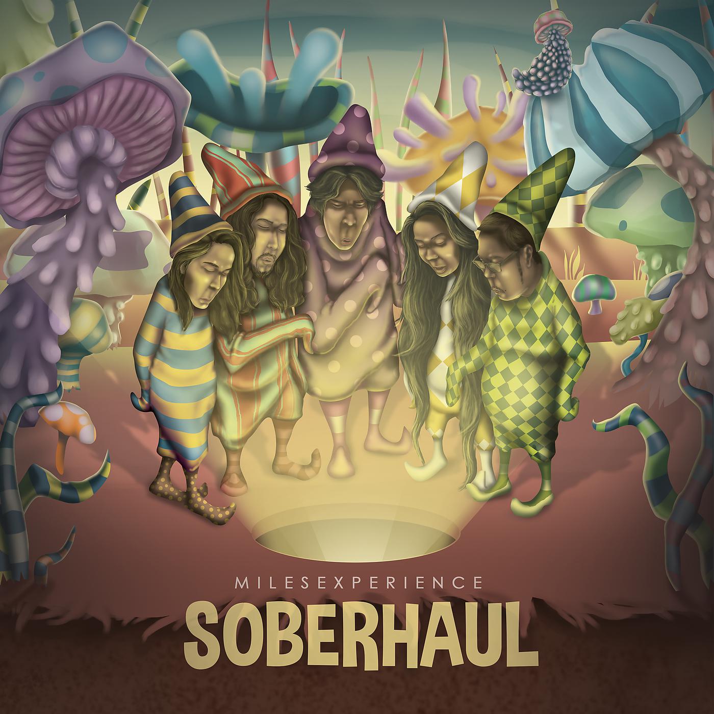 Постер альбома Soberhaul
