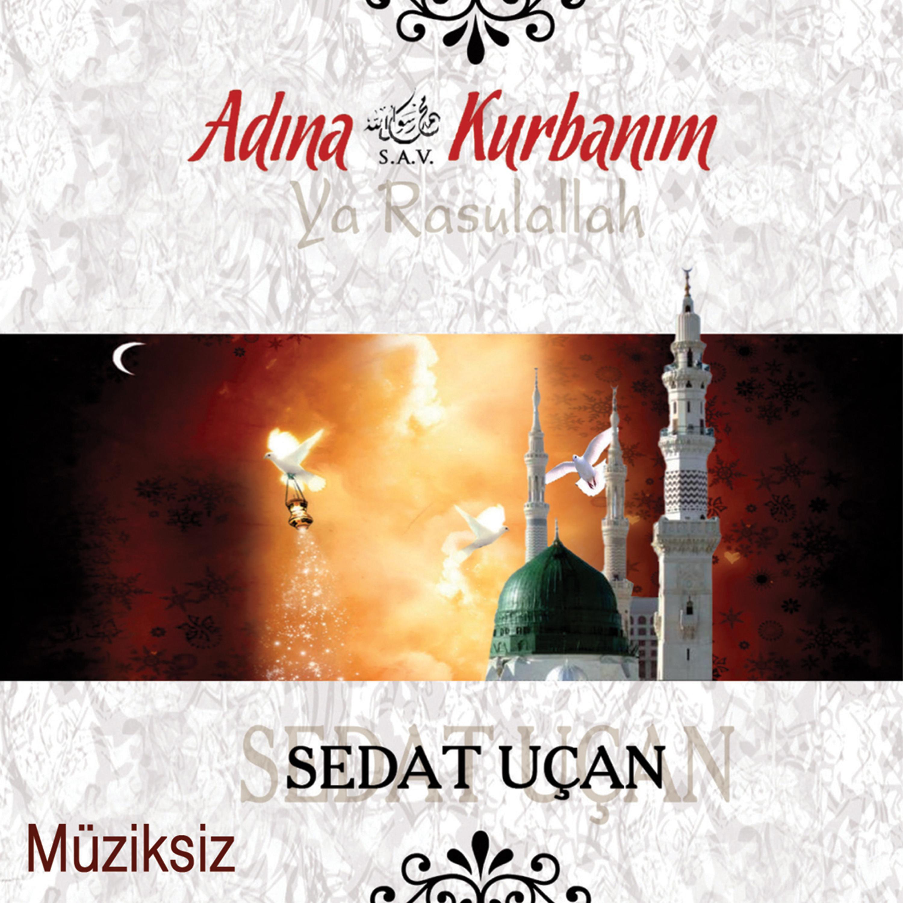 Постер альбома Adına Kurbanım (Müziksiz)