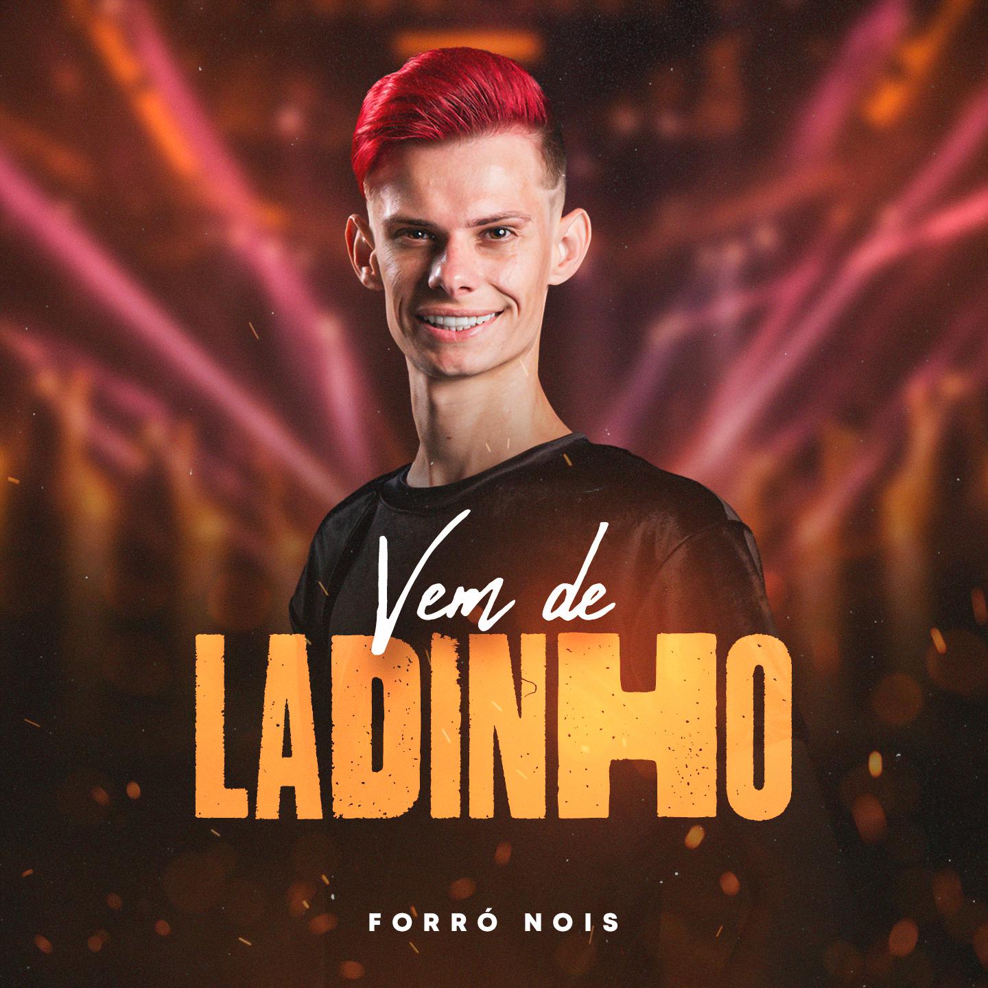 Постер альбома Vem de Ladinho