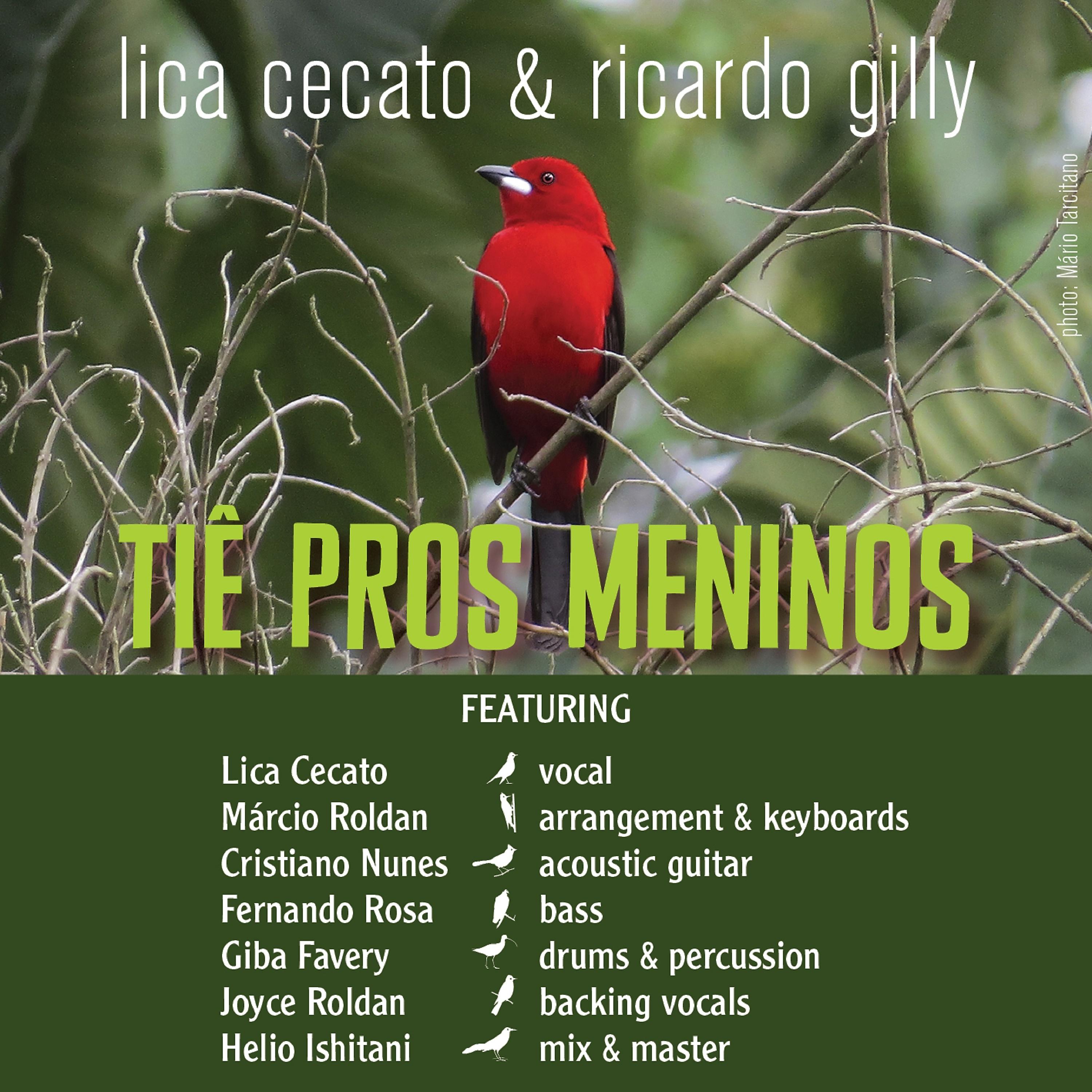 Постер альбома Tie Pros Meninos