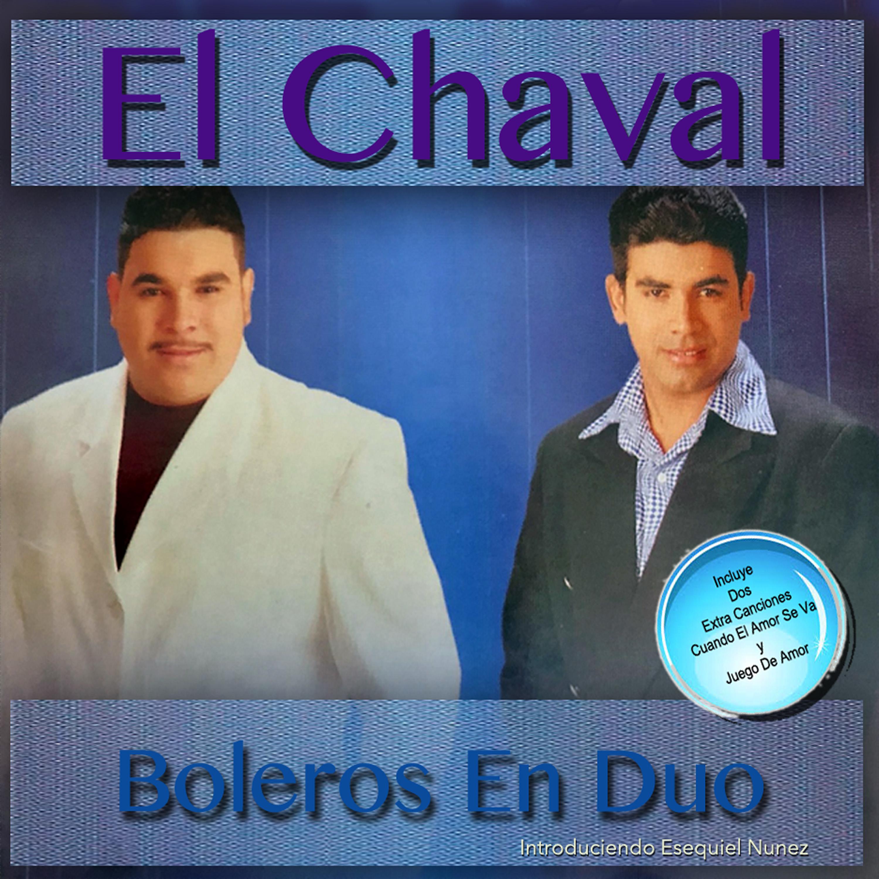 Постер альбома Boleros En Duo