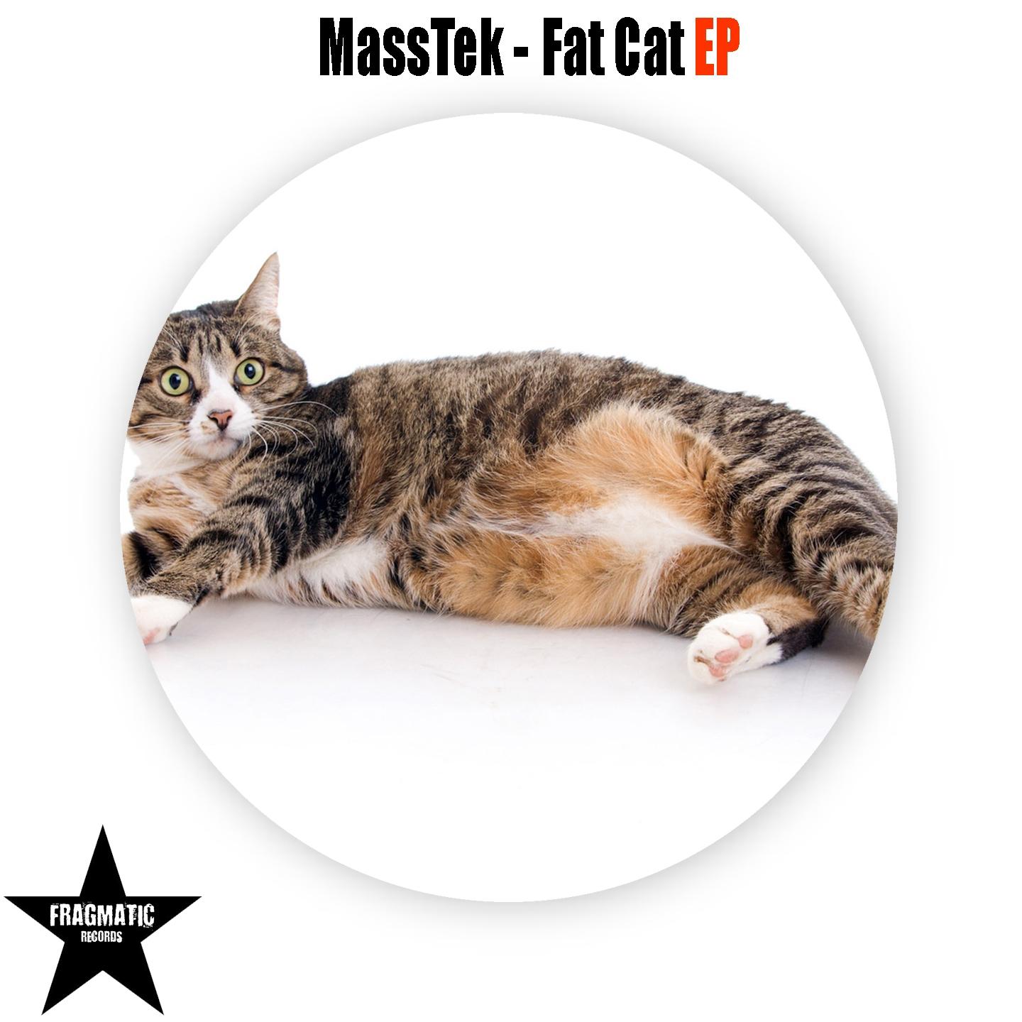 Постер альбома Fat Cat EP