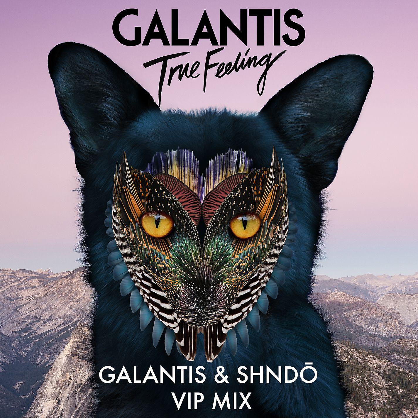 Постер альбома True Feeling (Galantis & shndō VIP Mix)