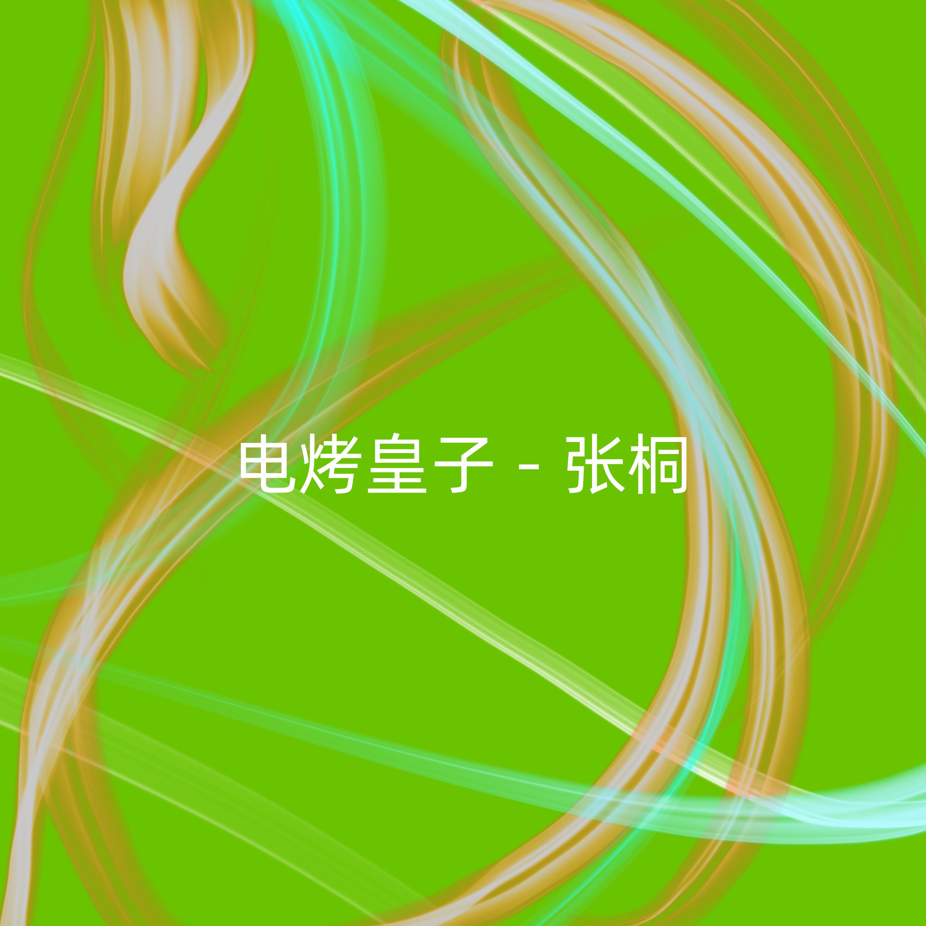 Постер альбома 电烤皇子