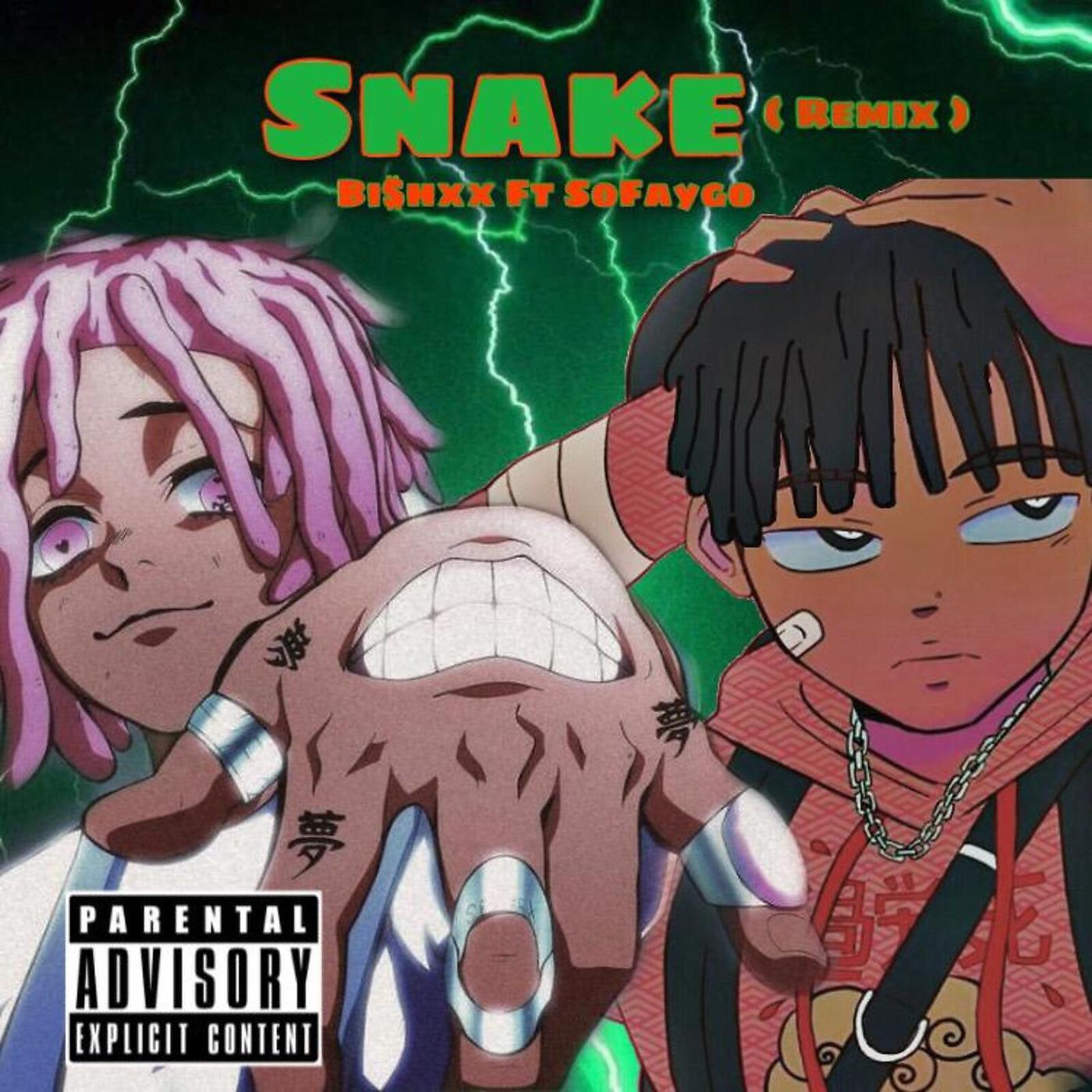 Постер альбома Snake (Remix)