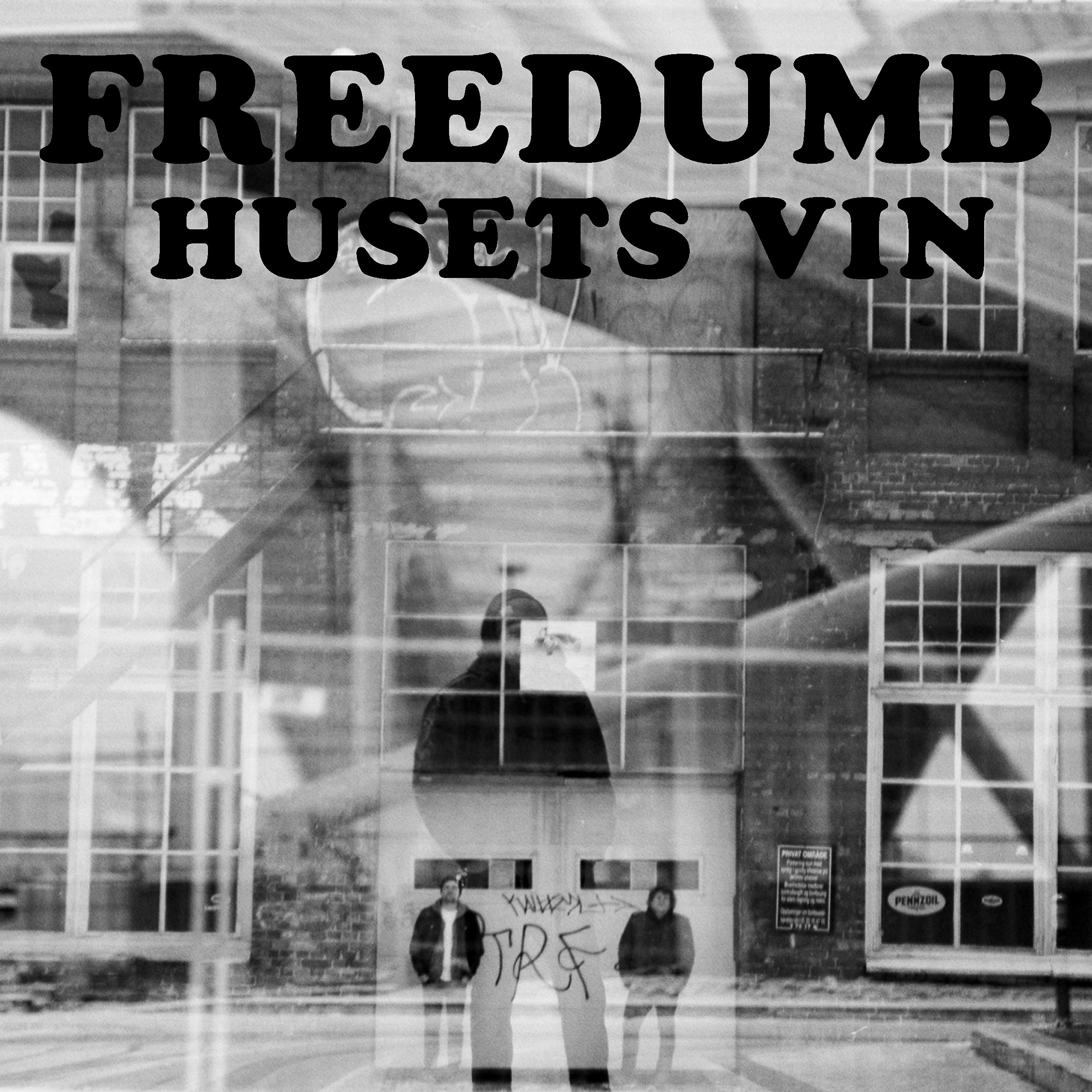 Постер альбома Husets Vin