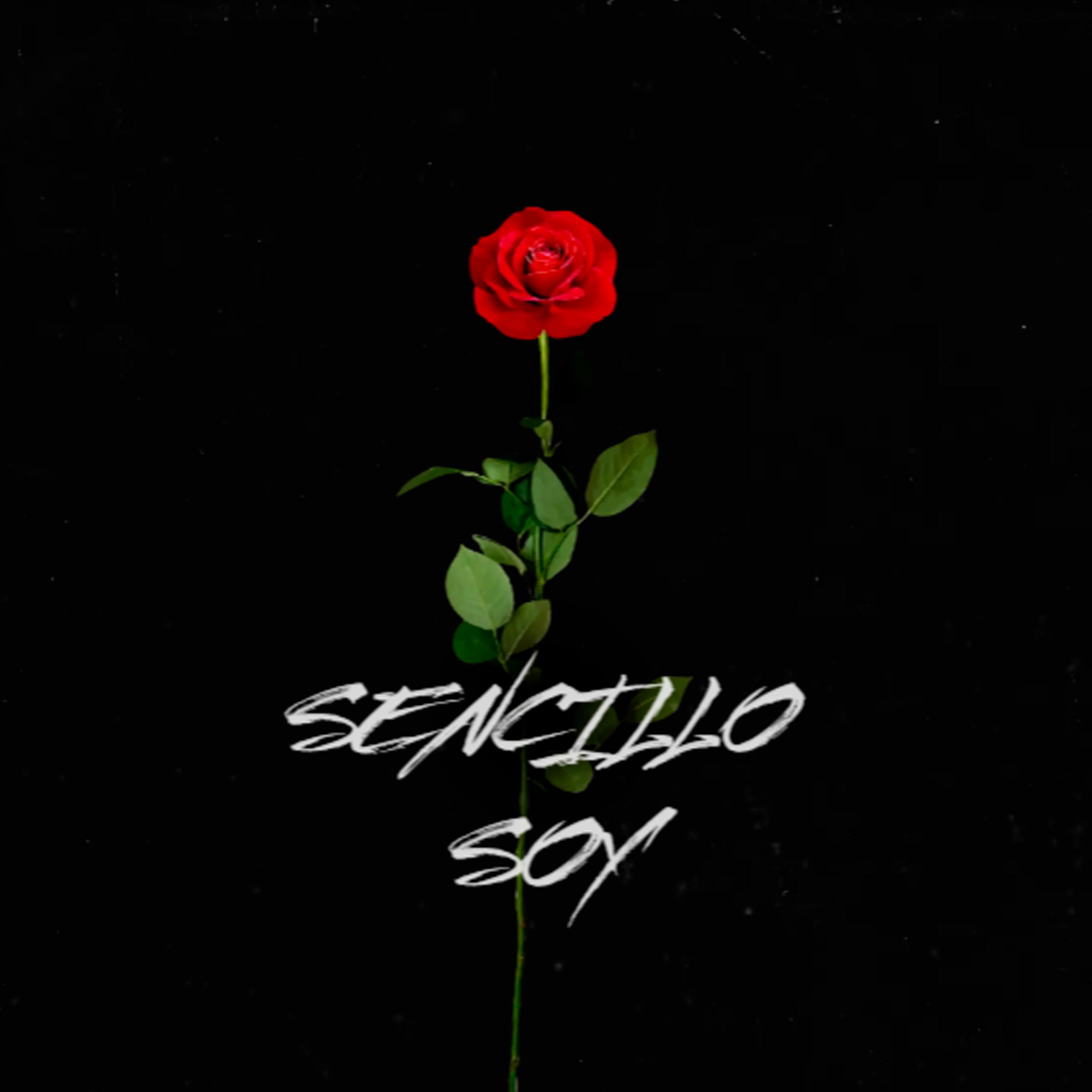 Постер альбома SENCILLO SOY