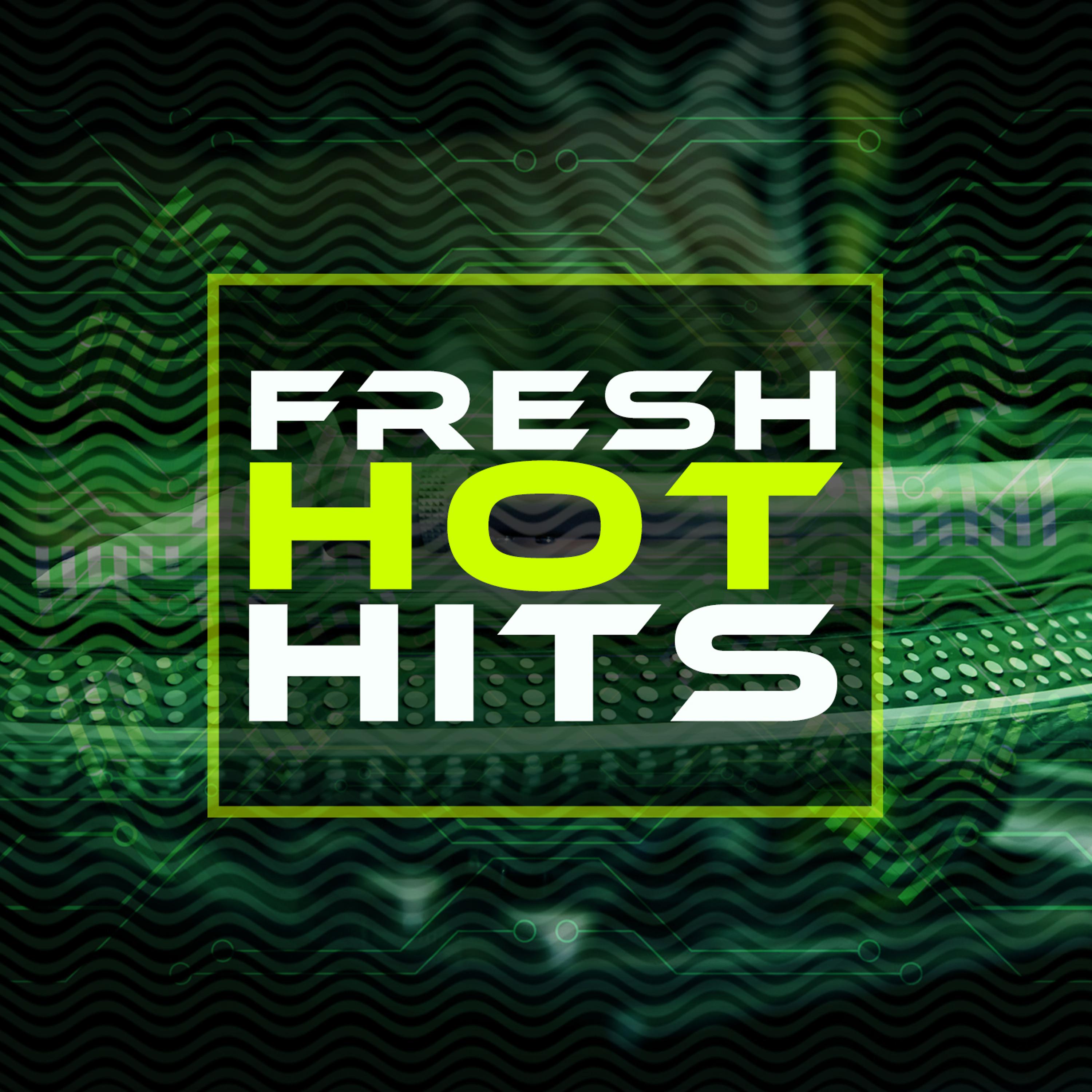 Постер альбома Fresh Hot Hits