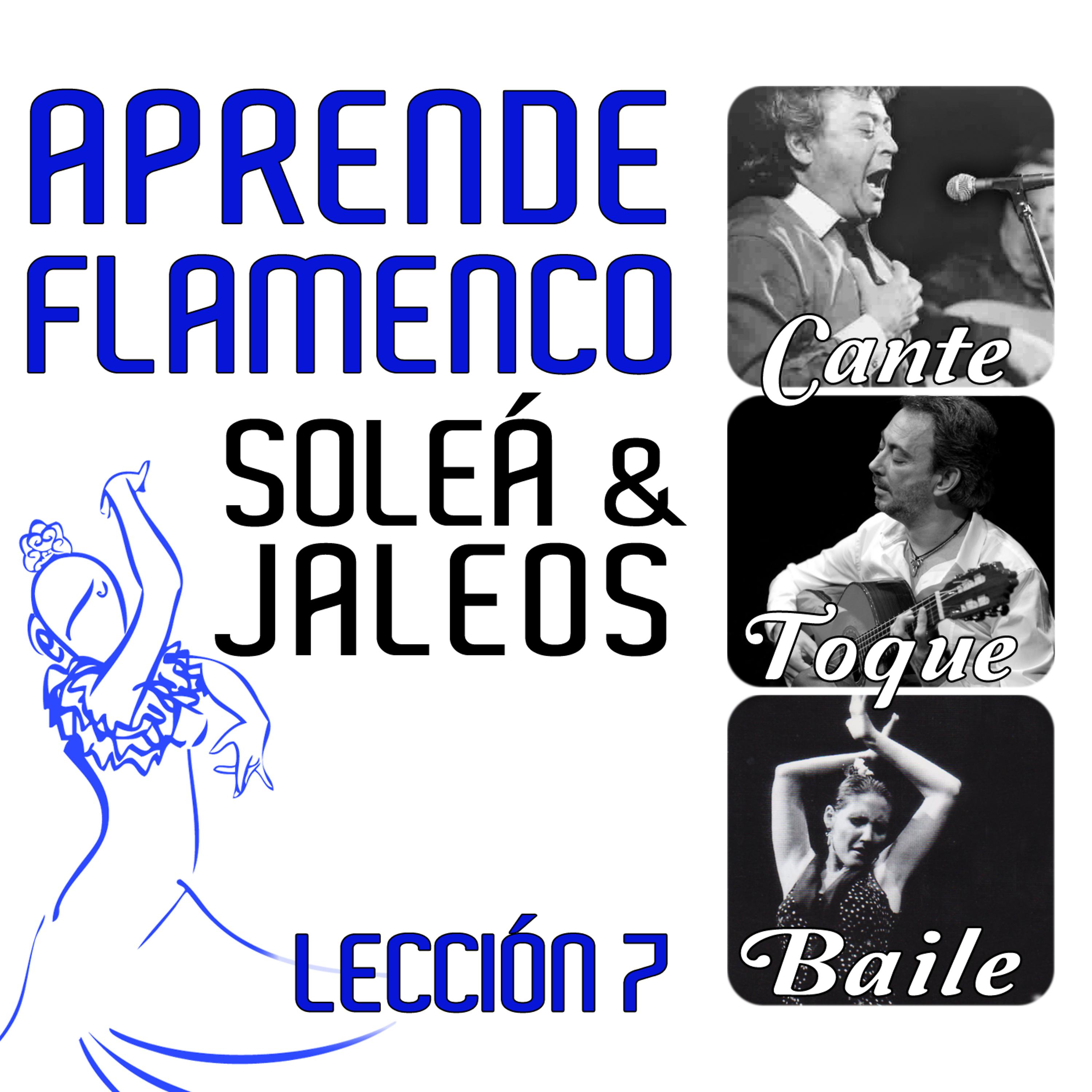 Постер альбома Aprende Flamenco. Soleá y Jaleos. Lección 7